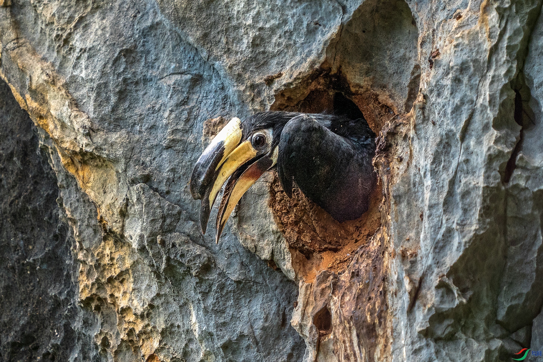 DSC08841 ���� 2.jpg