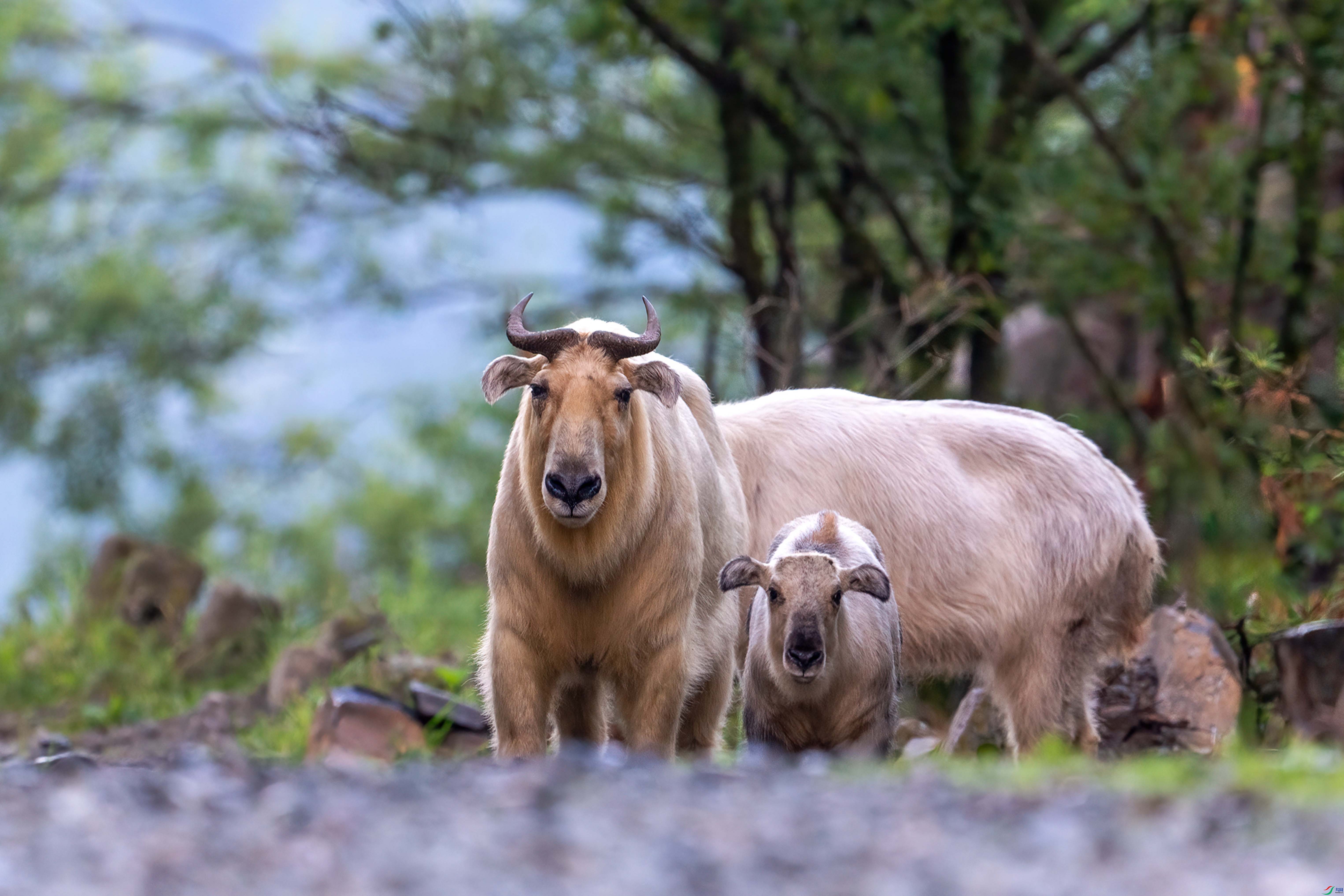 DSC04915 ���� 2.jpg