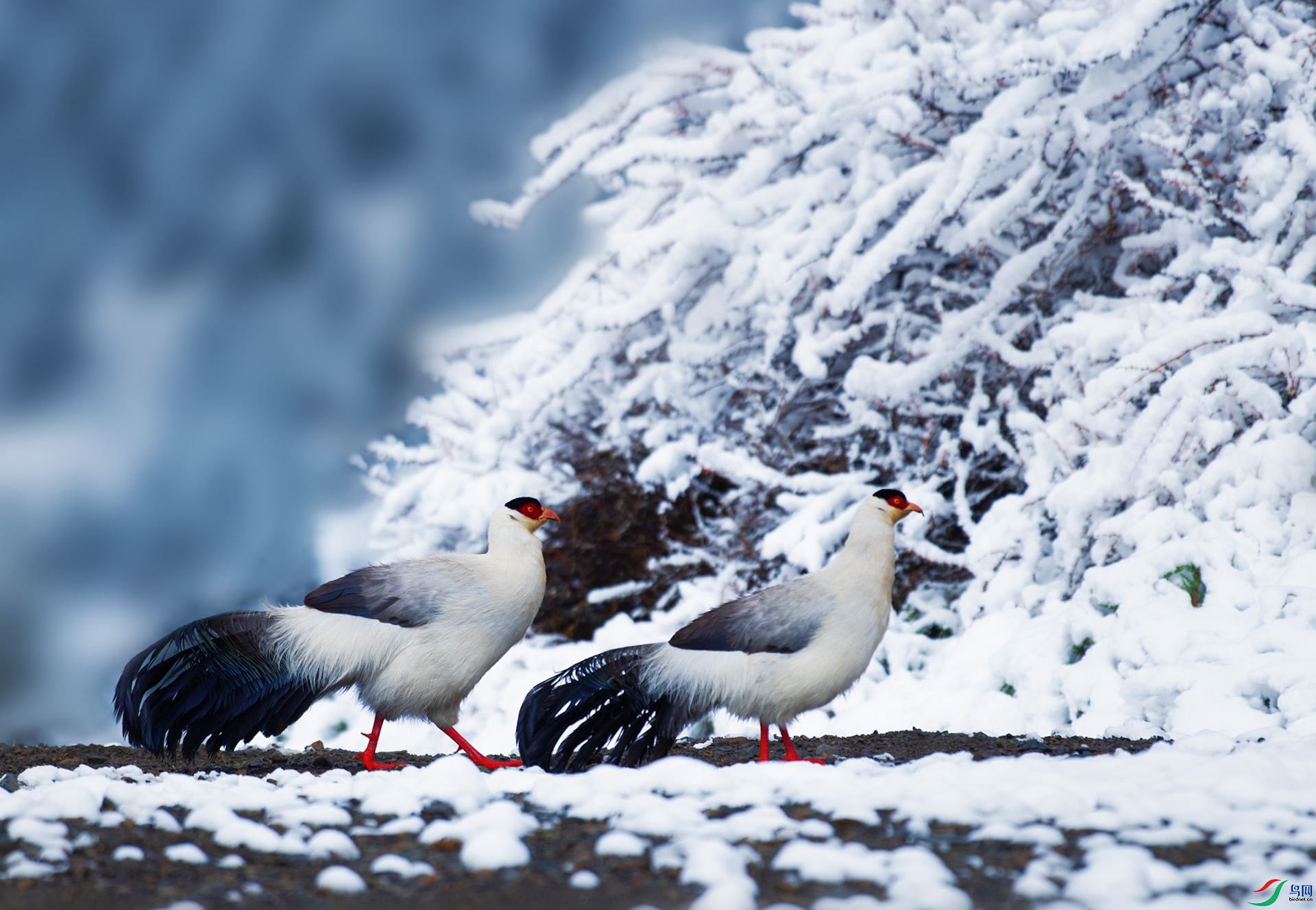 DSC_7718-1.jpg