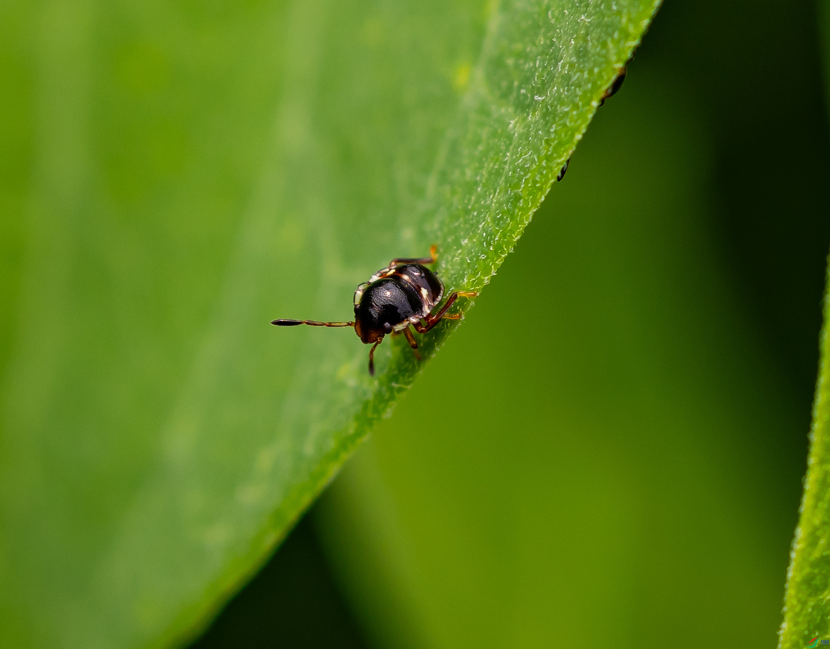 188A8167.JPG