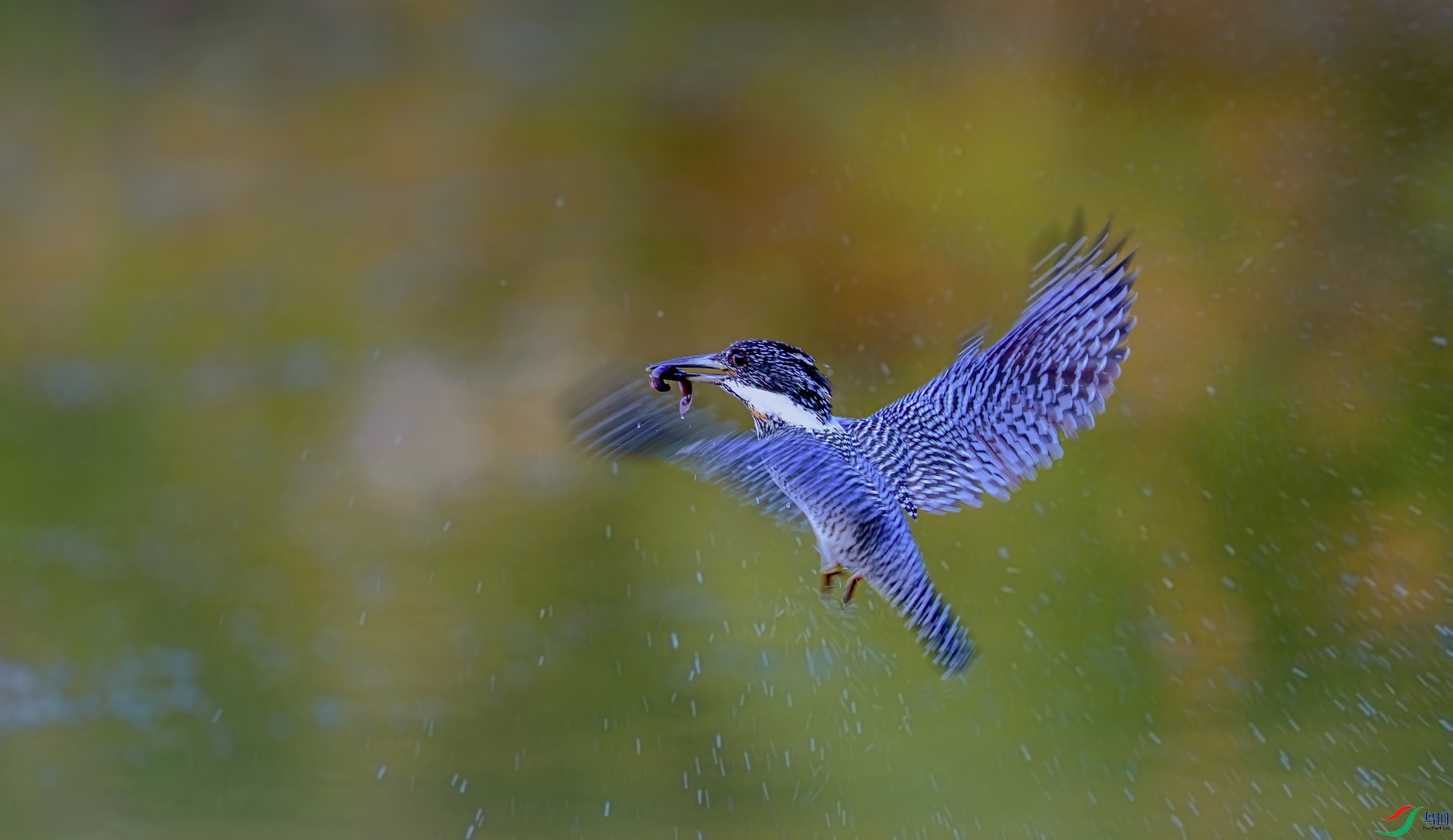 DSC_6802==1w.jpg