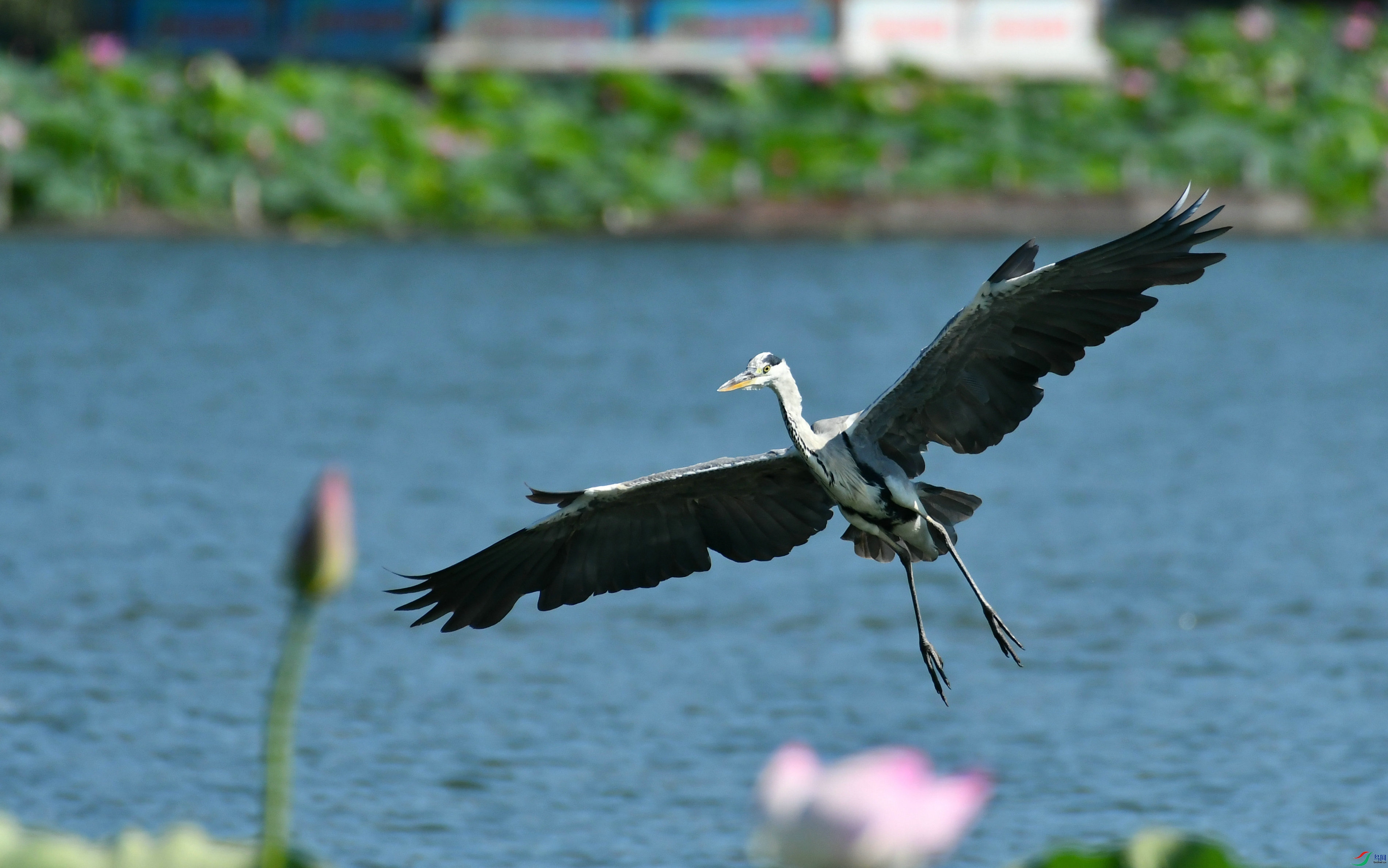 DSC_1882.JPG