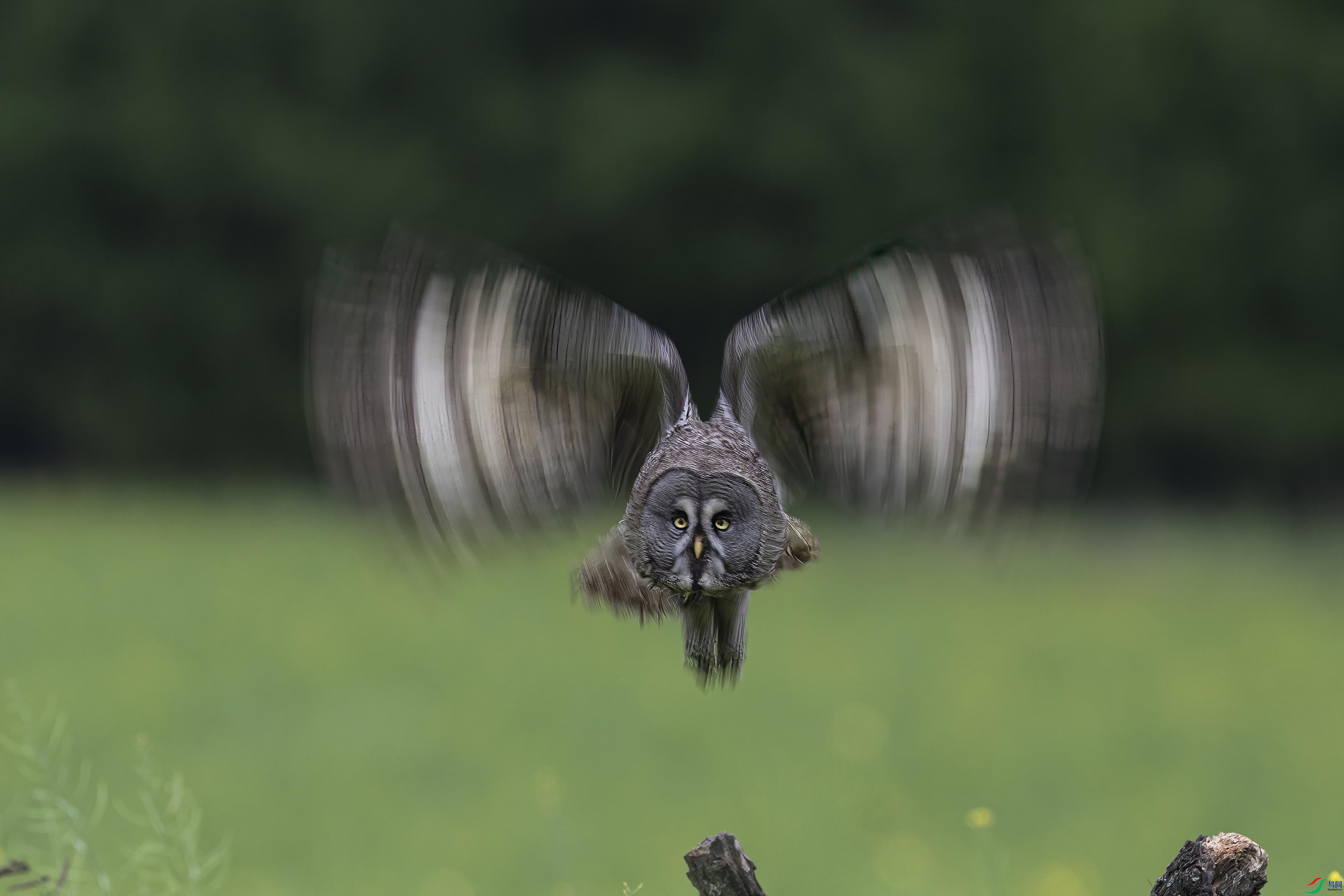 DSC02572 ����.jpg