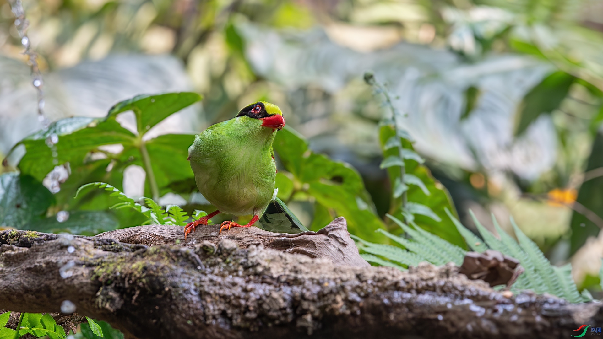 DSC_2722-����ǿ-NR.jpg
