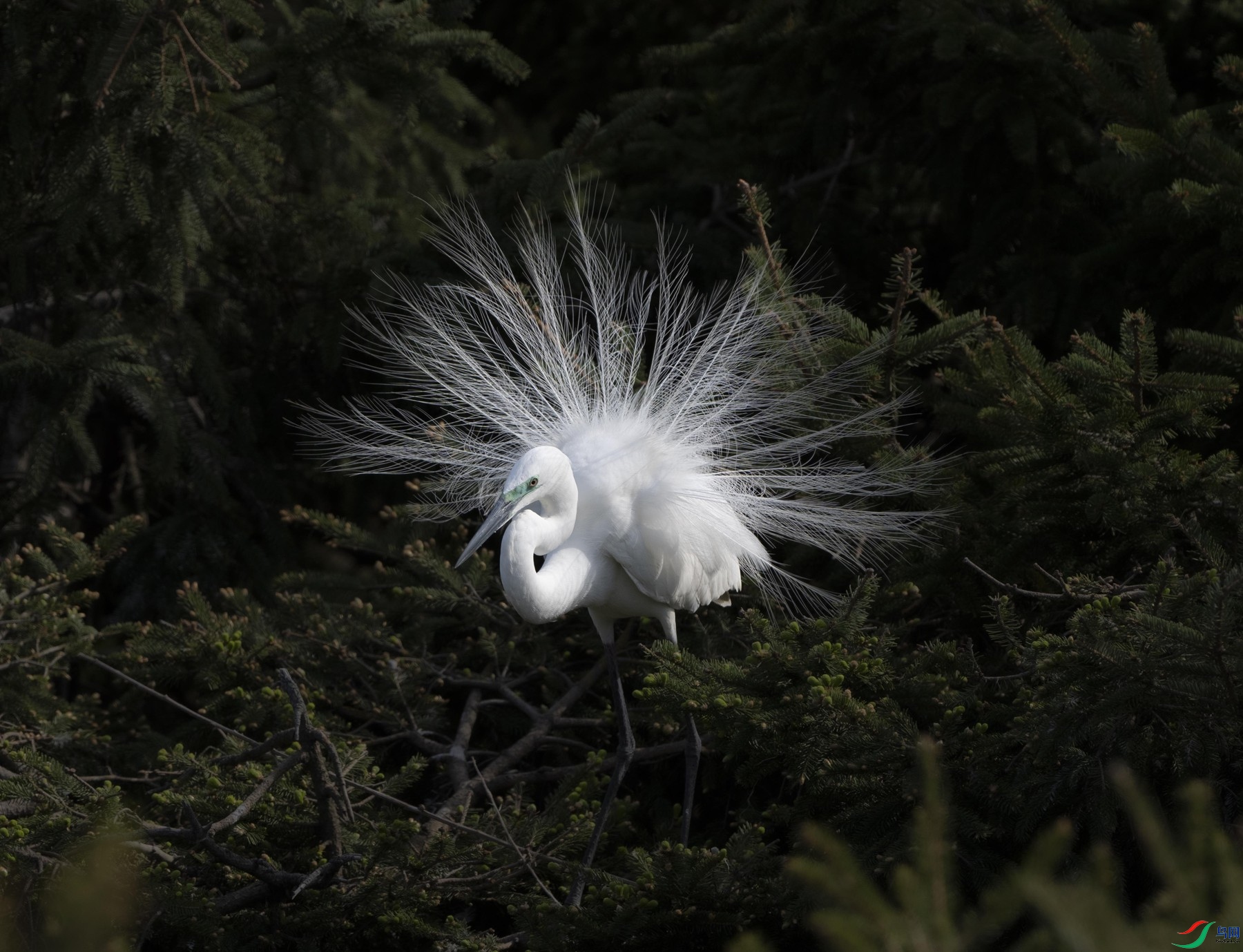 DSC04892 ����_����.jpg