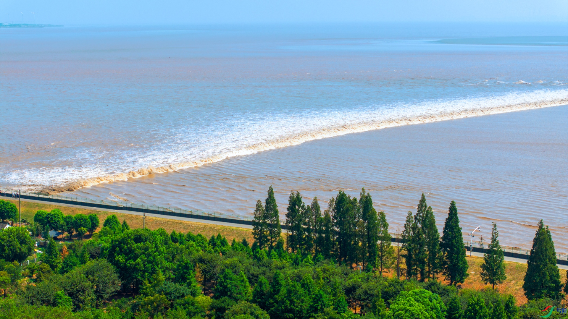 DJI_20240808135319_0003_D.jpg