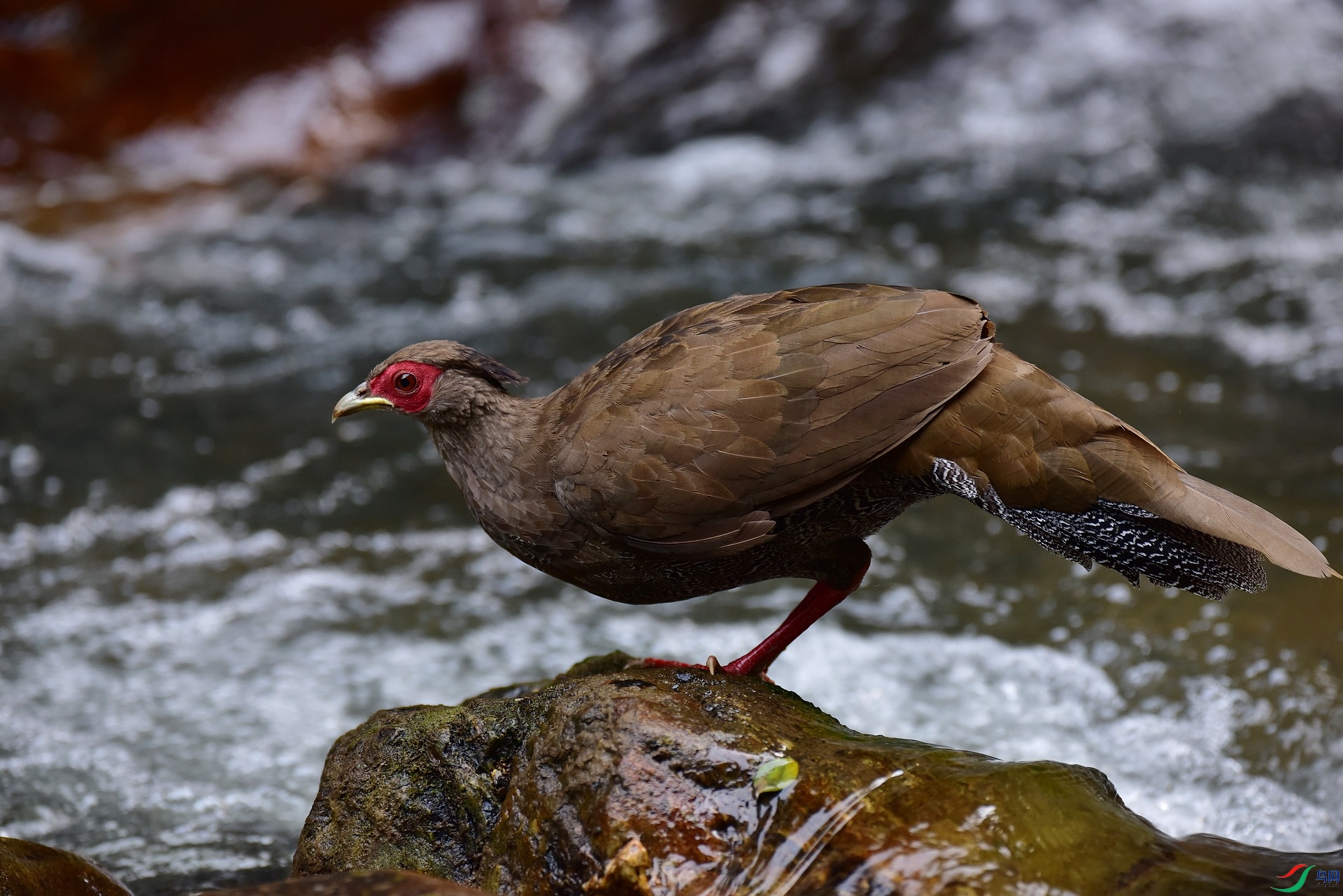 D8I_2341.jpg