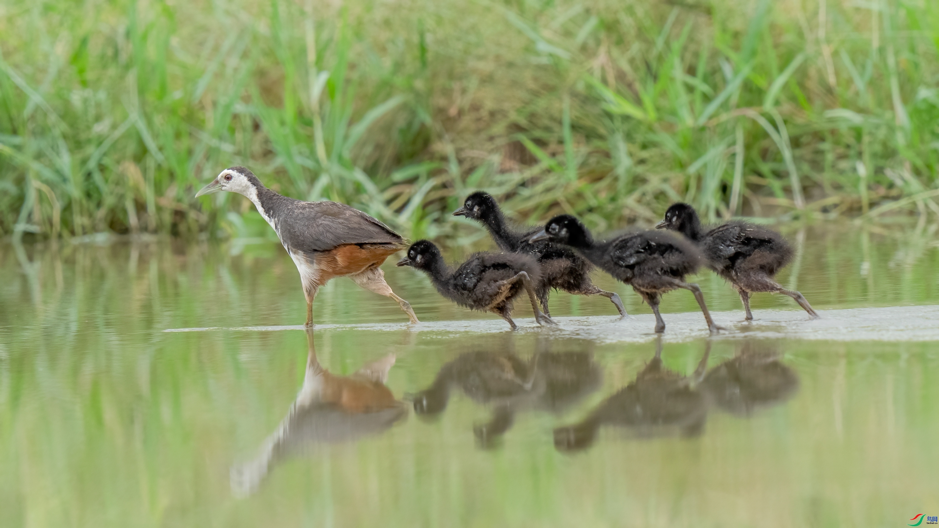 ÿ�ռ��� ���� ���� ���� ����.jpg