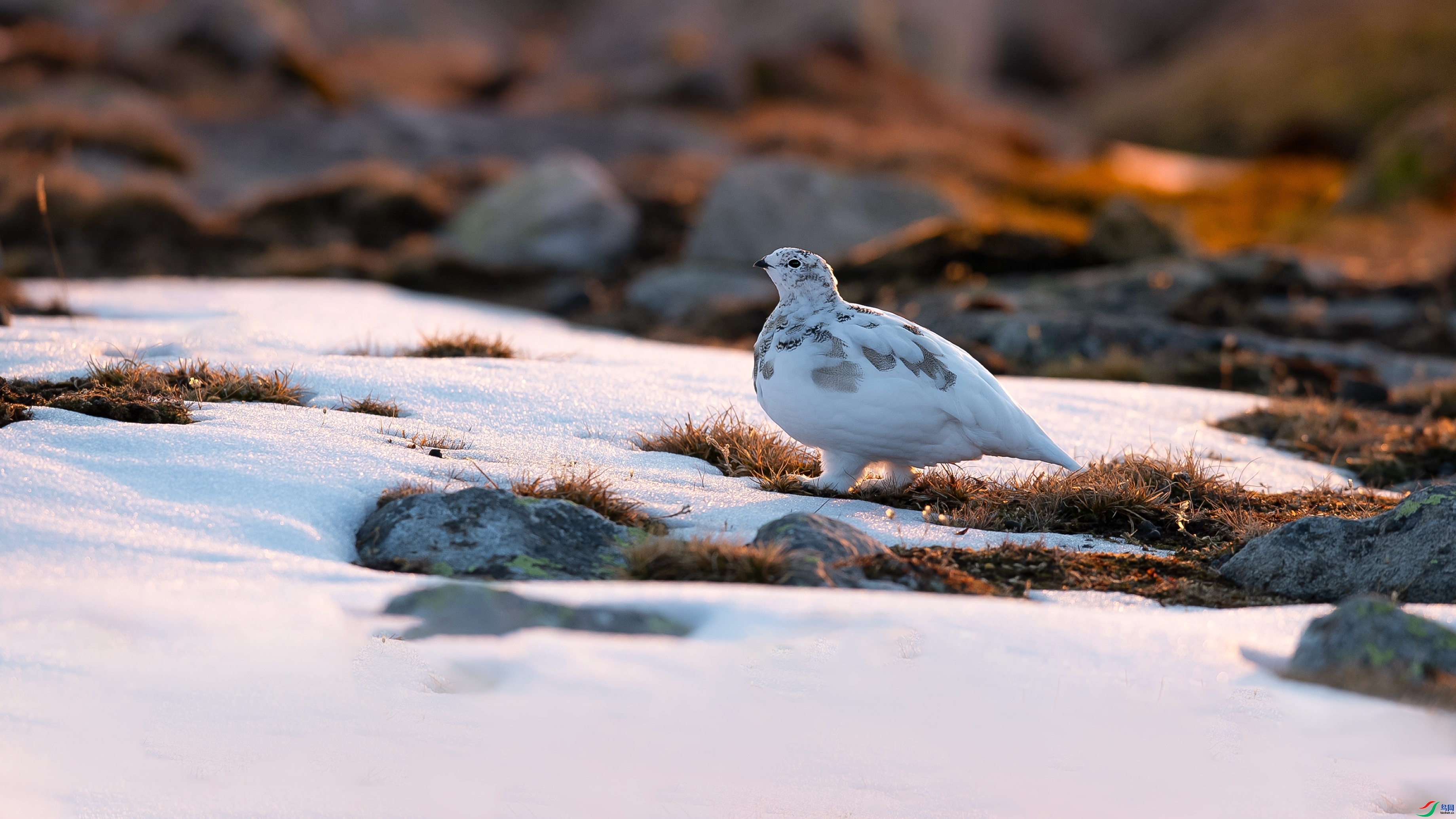 �����Դ� ���� С���� ����.jpg