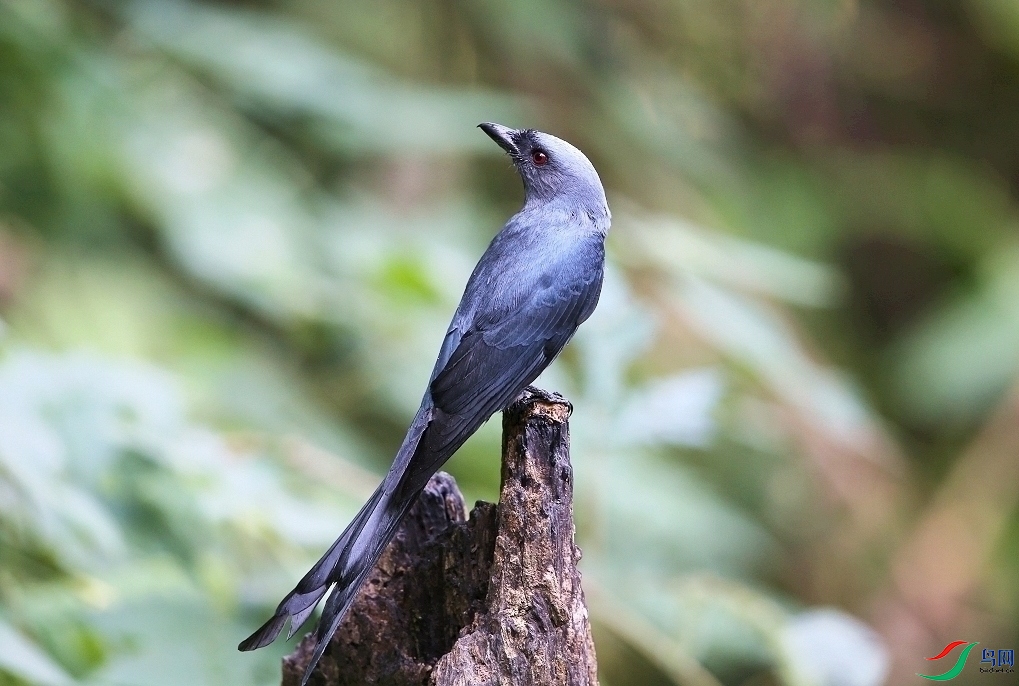 ���� IMGL6036.JPG