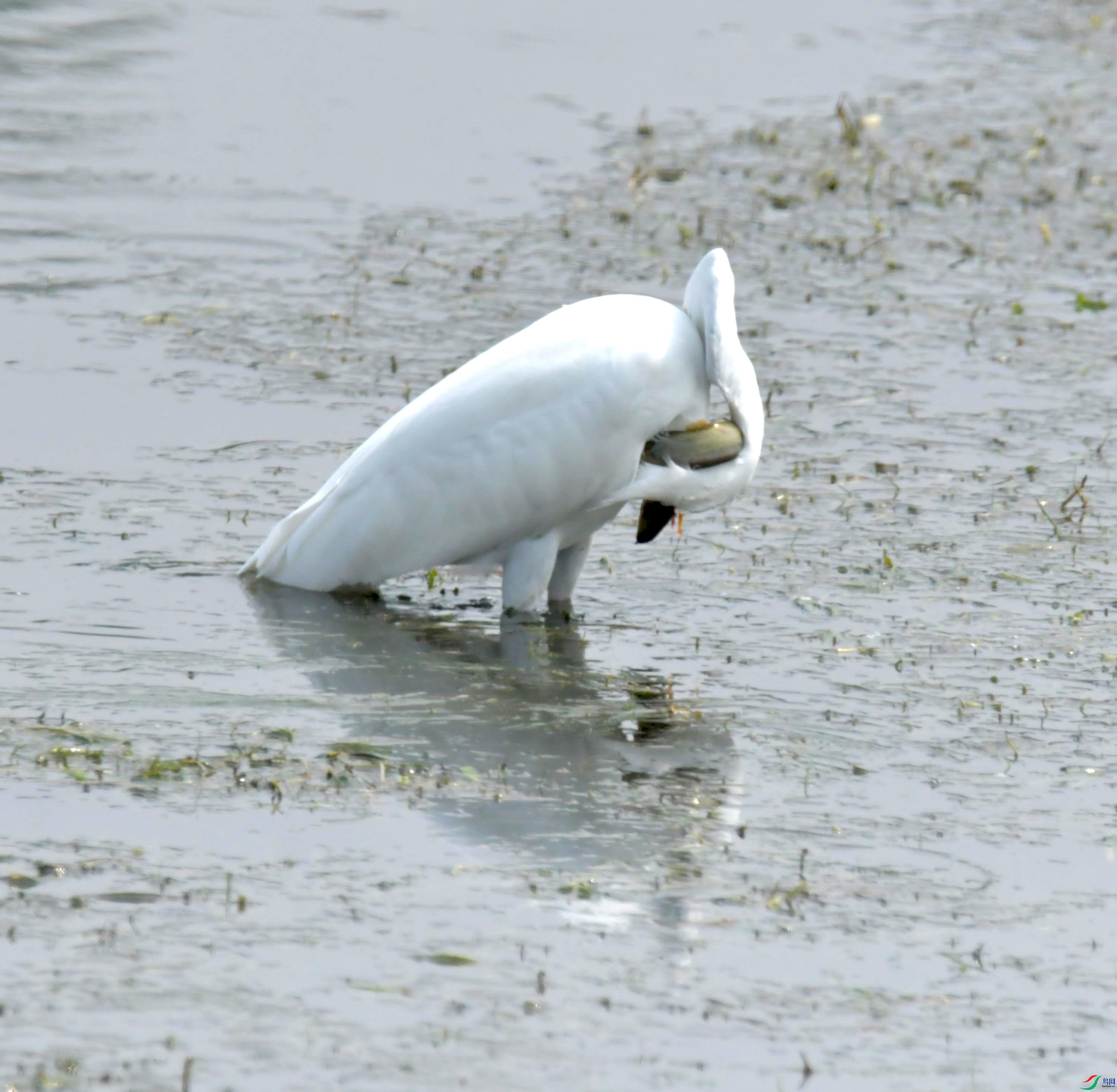DSC_3937.JPG