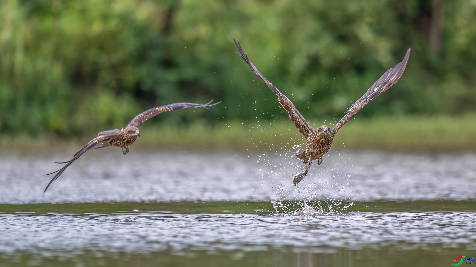 ���ץ�� ���� ��ѧ�� ��һ.jpg