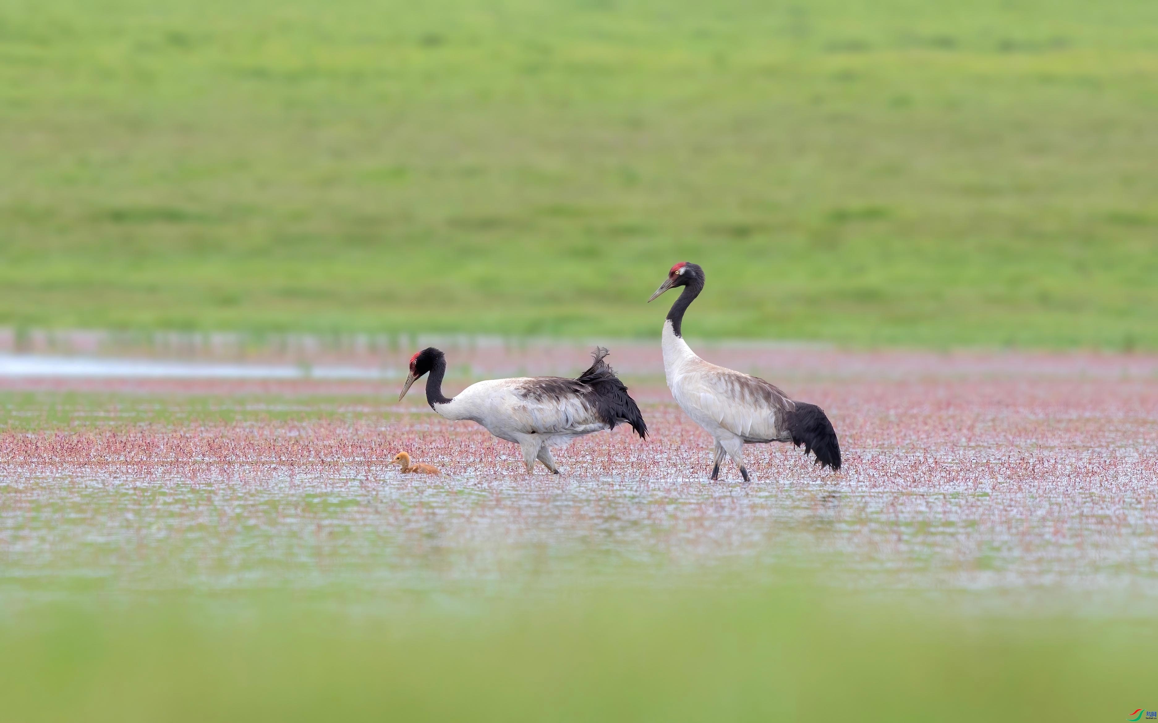 ���� ���� �ɶ��Ͻ� ��һ.jpg