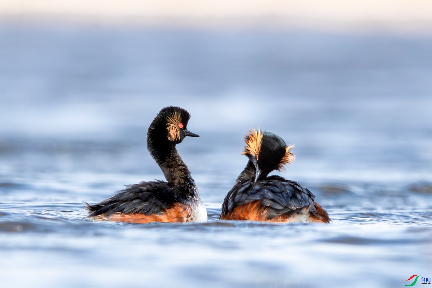 �ߴ�� ���� 0459���� �ܶ�.jpg