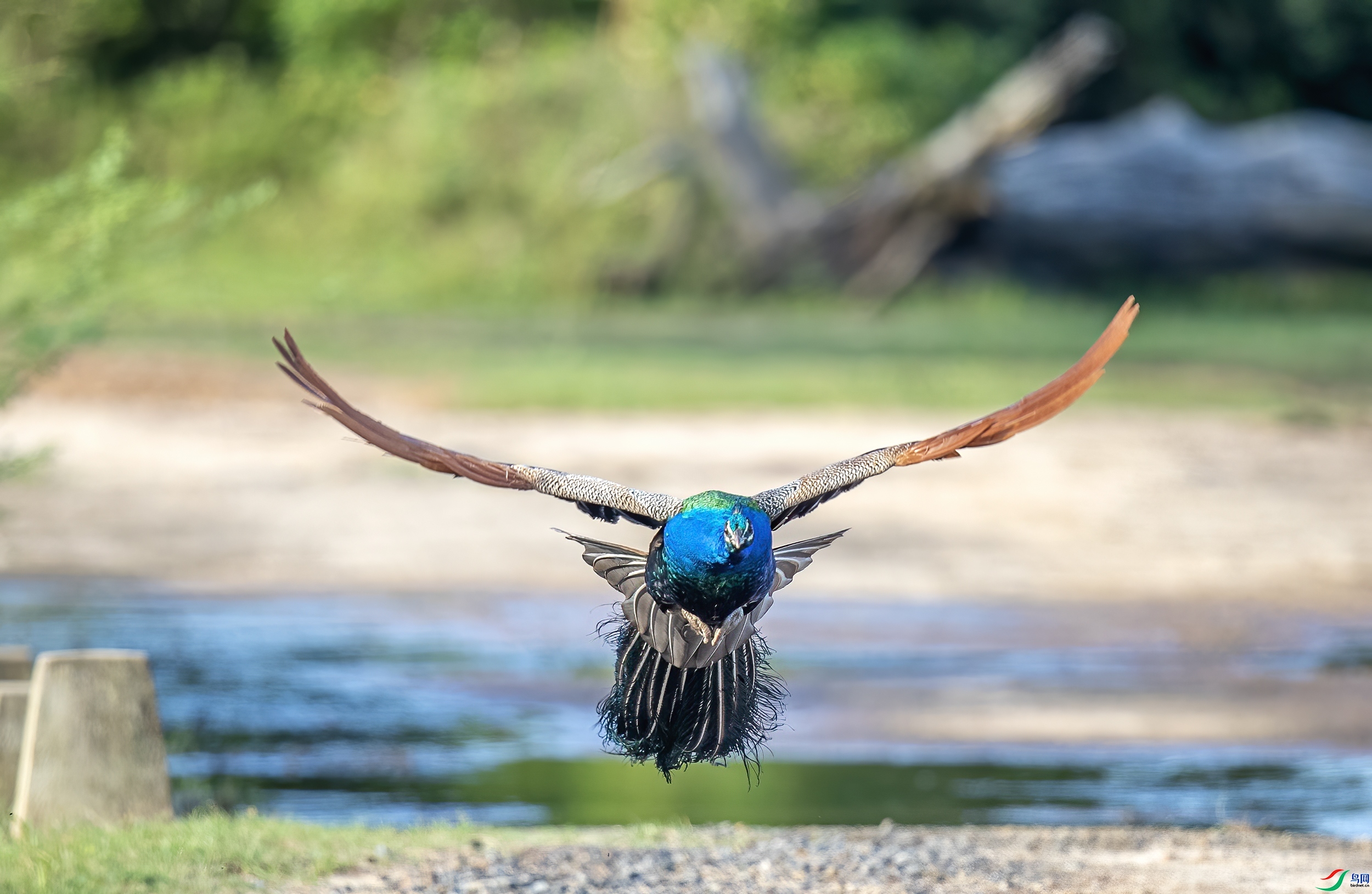 �̿�ȸ ���� ����  �ܶ�.jpg