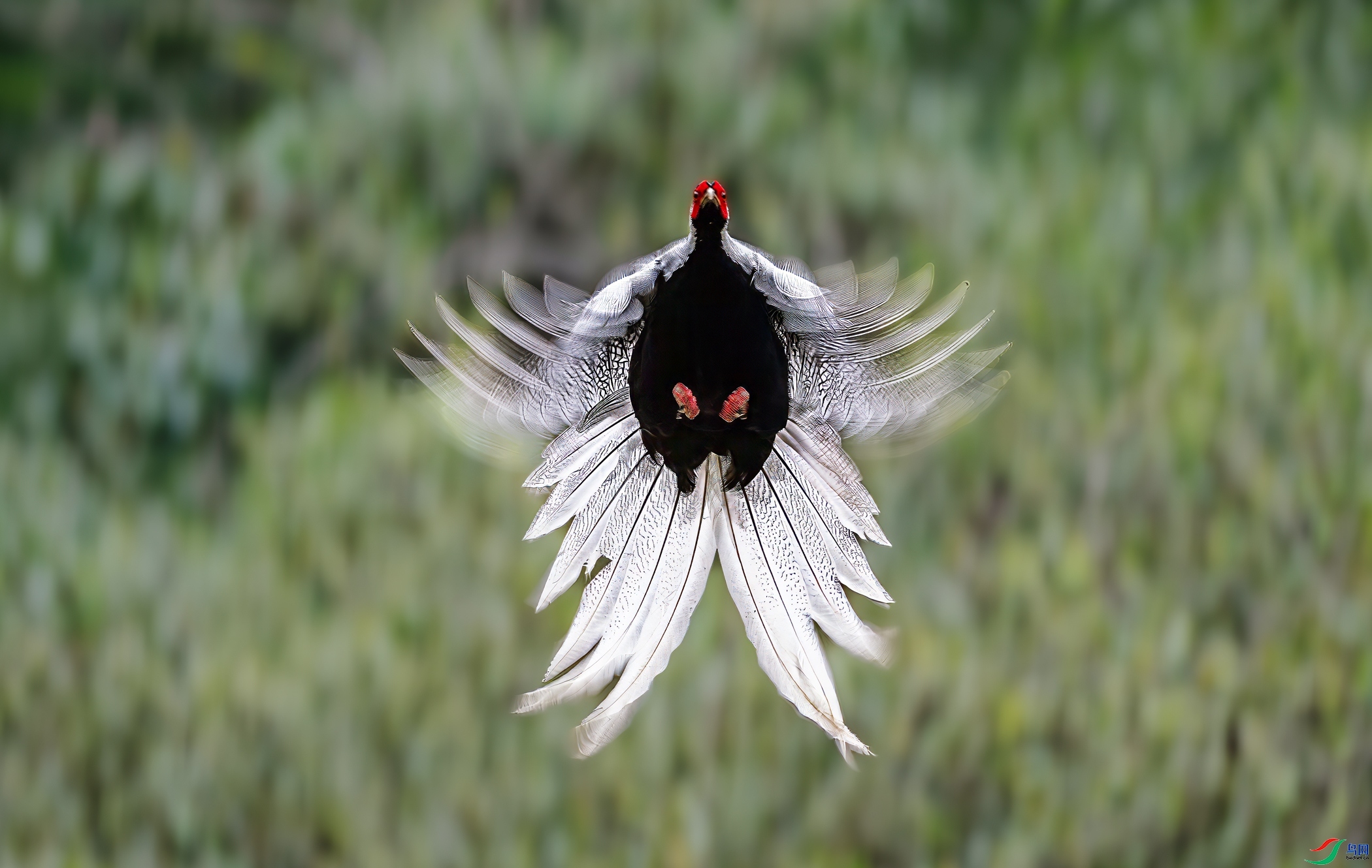 ���İ���  ���� �������� ����.jpg