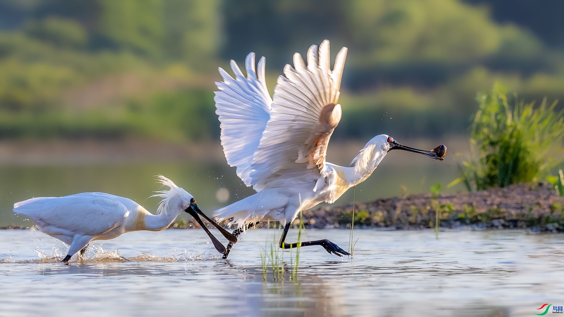 ����׷�� ���� ɳ���Խ� ����.jpg
