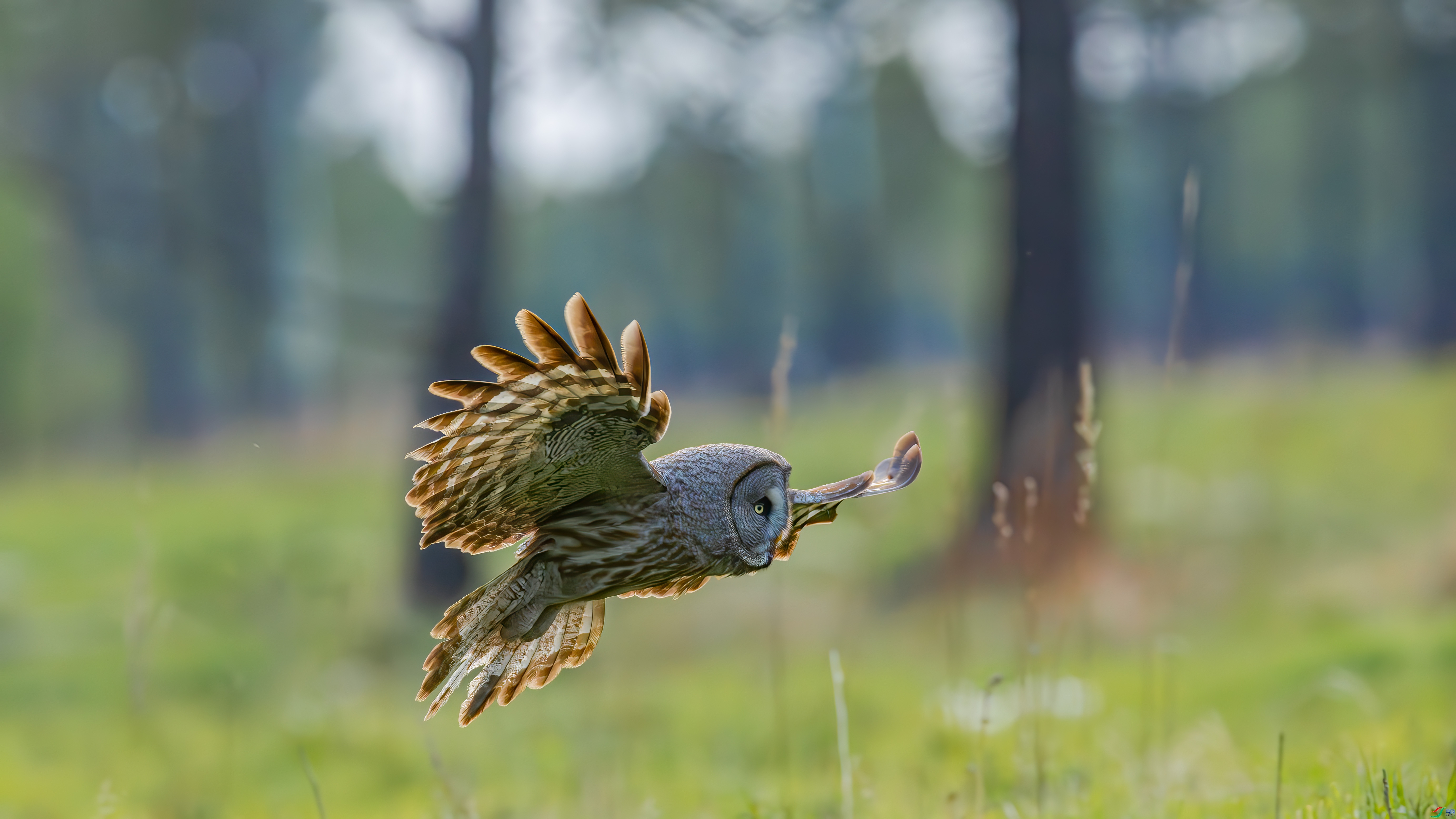 ���д�è ���� �䱾���� ����.jpg