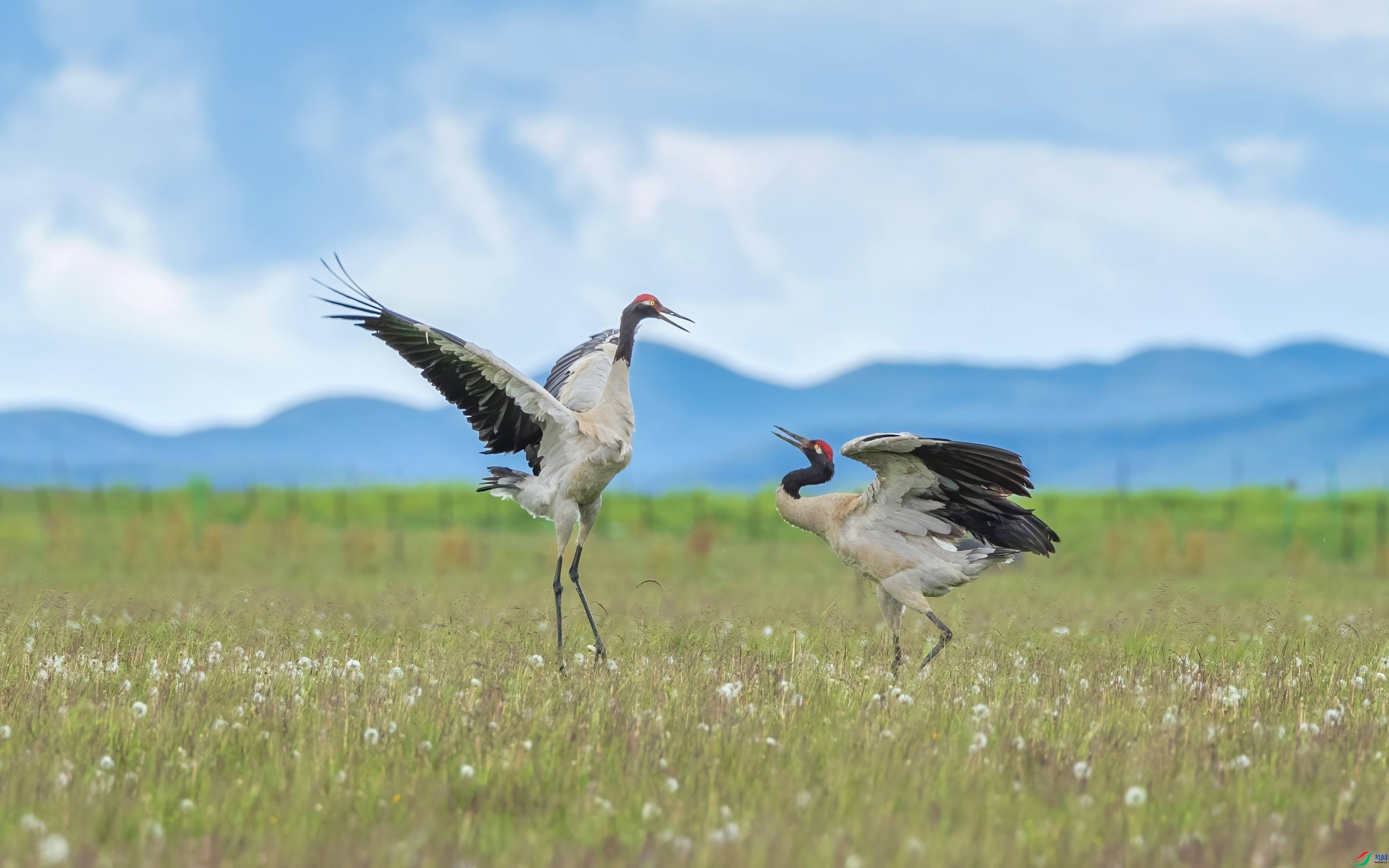 ��֮��  ���� �ɶ��Ͻ� ����.jpg