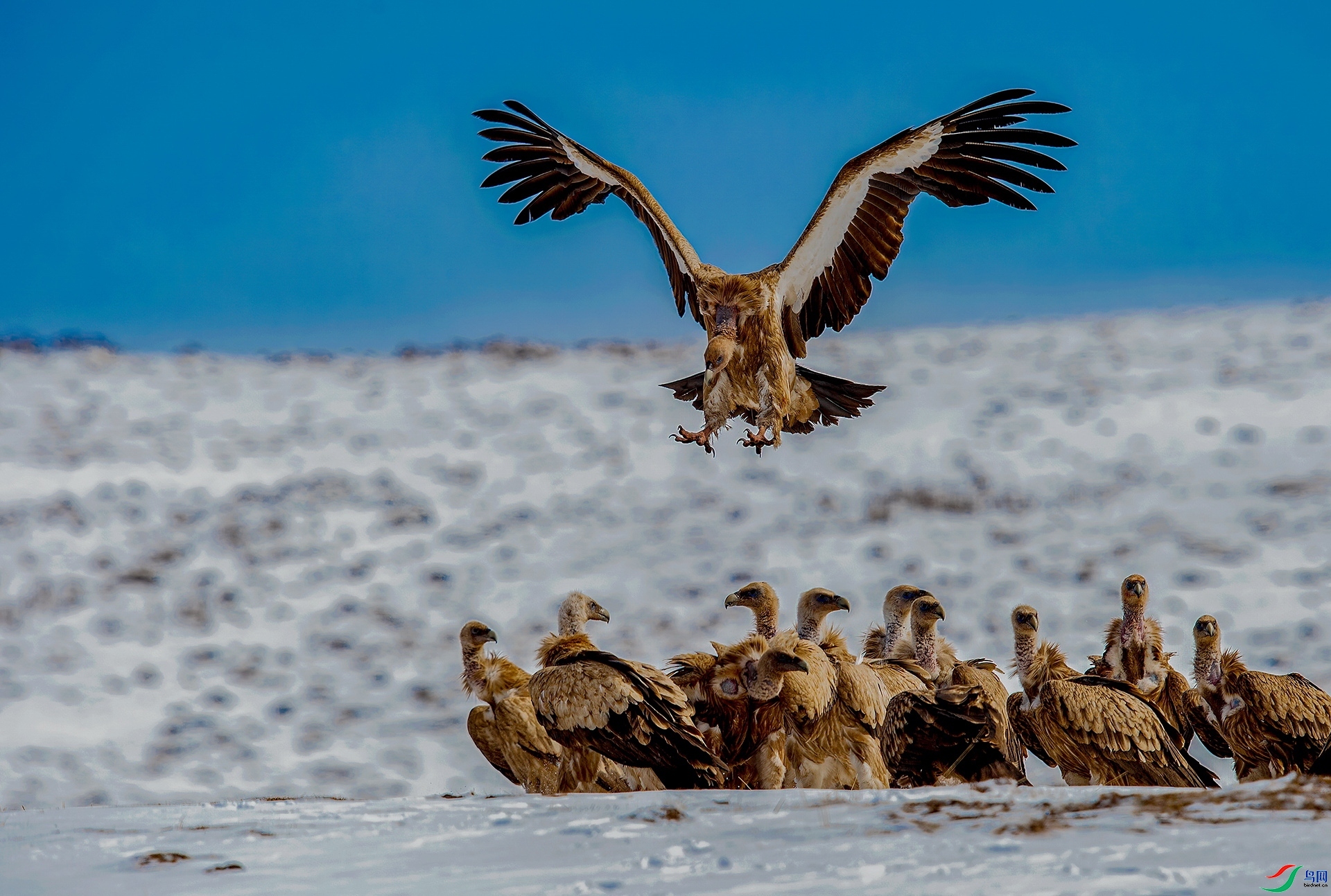 ���߹��� ���� ���� ����.jpg