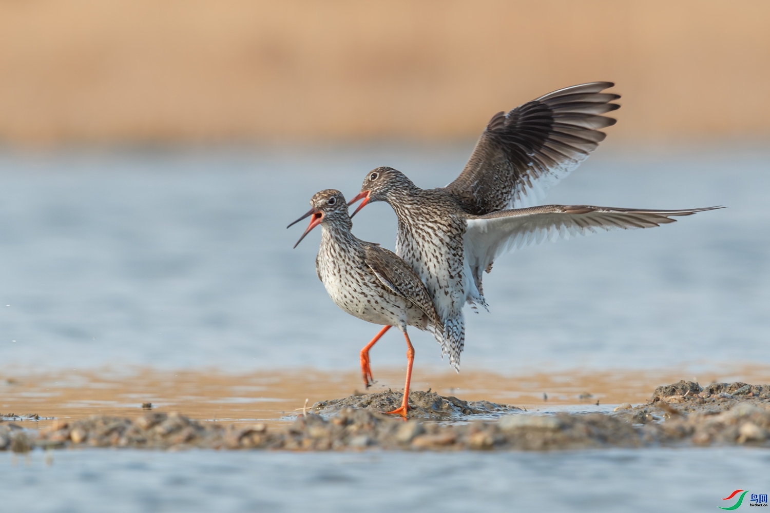 ��˶���  ���� 0459���� ����.jpg