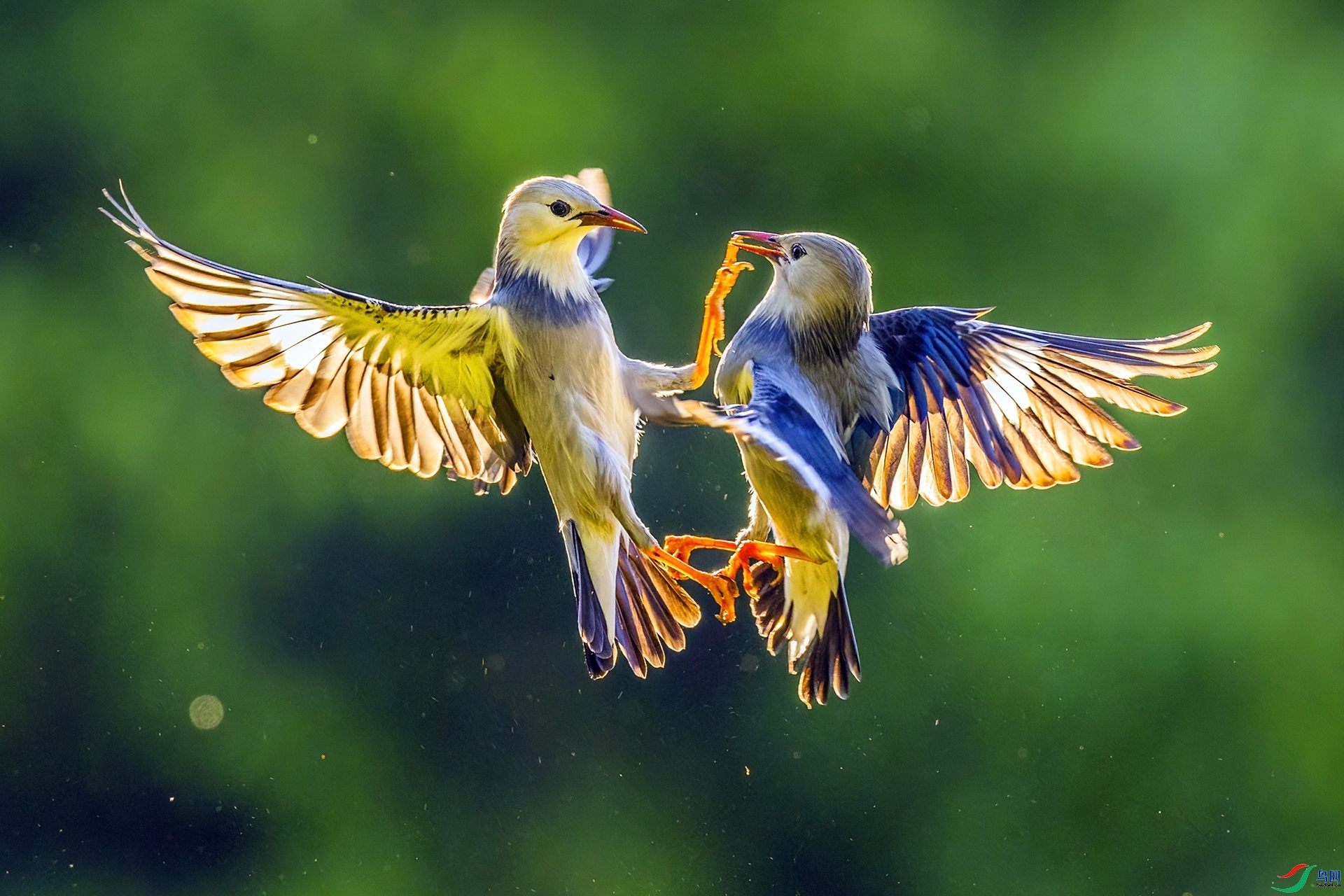 ��в ���� ������ ����.jpg