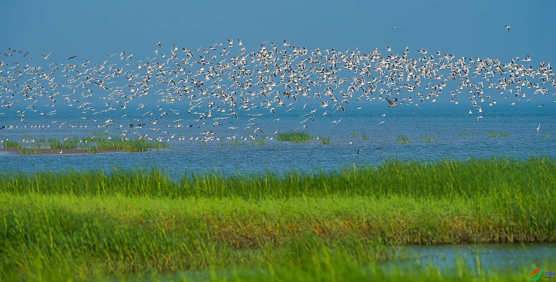 �����ˣ������Ӵ�ƺ�ĺ���Ǩ�㼾��ʼ��  ���� ��ʾ ����.jpg