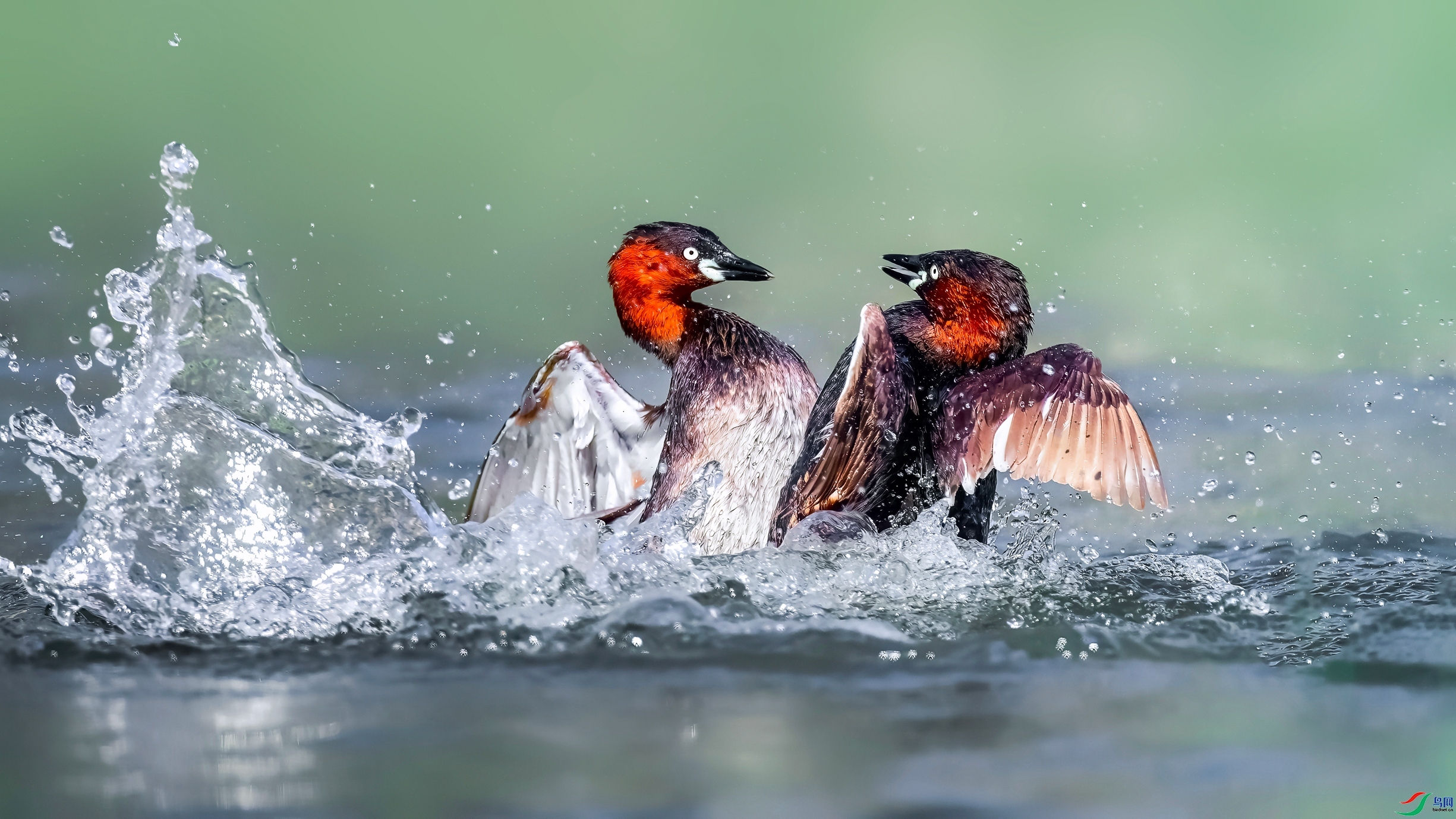 ˭Ҳ����  ���� Hsia  ����.jpg