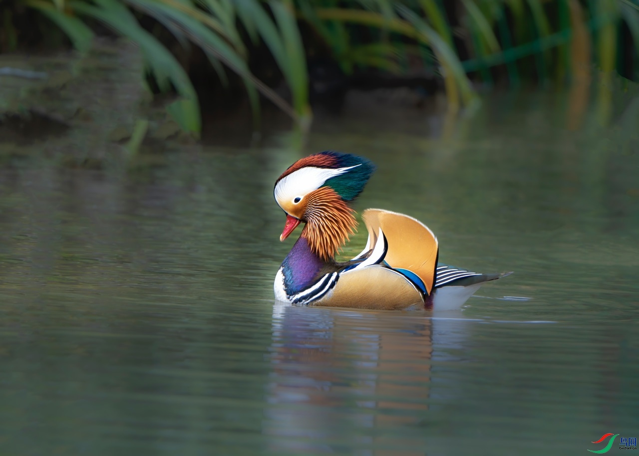 DSC04604-����ǿ ����.jpeg