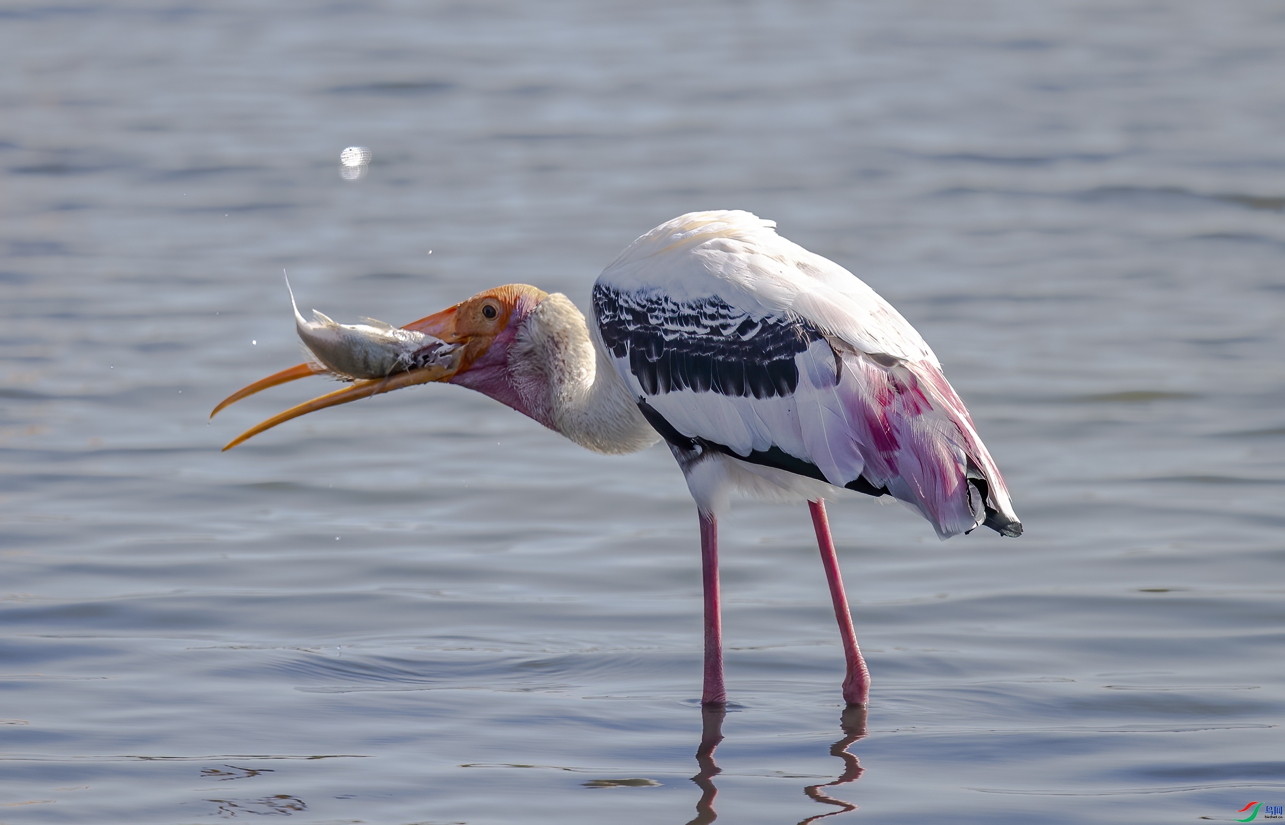 ���� ���� ����  ����.jpg