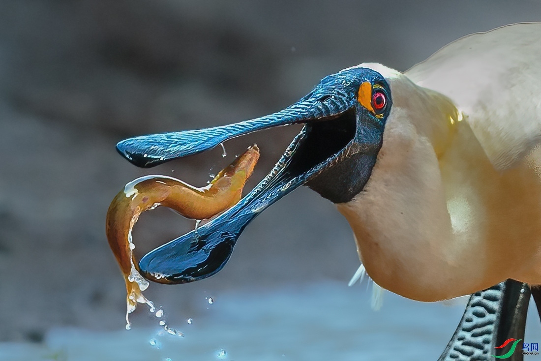 ����һ��  ���� ��ͥ�Ų�YES  ����.jpg