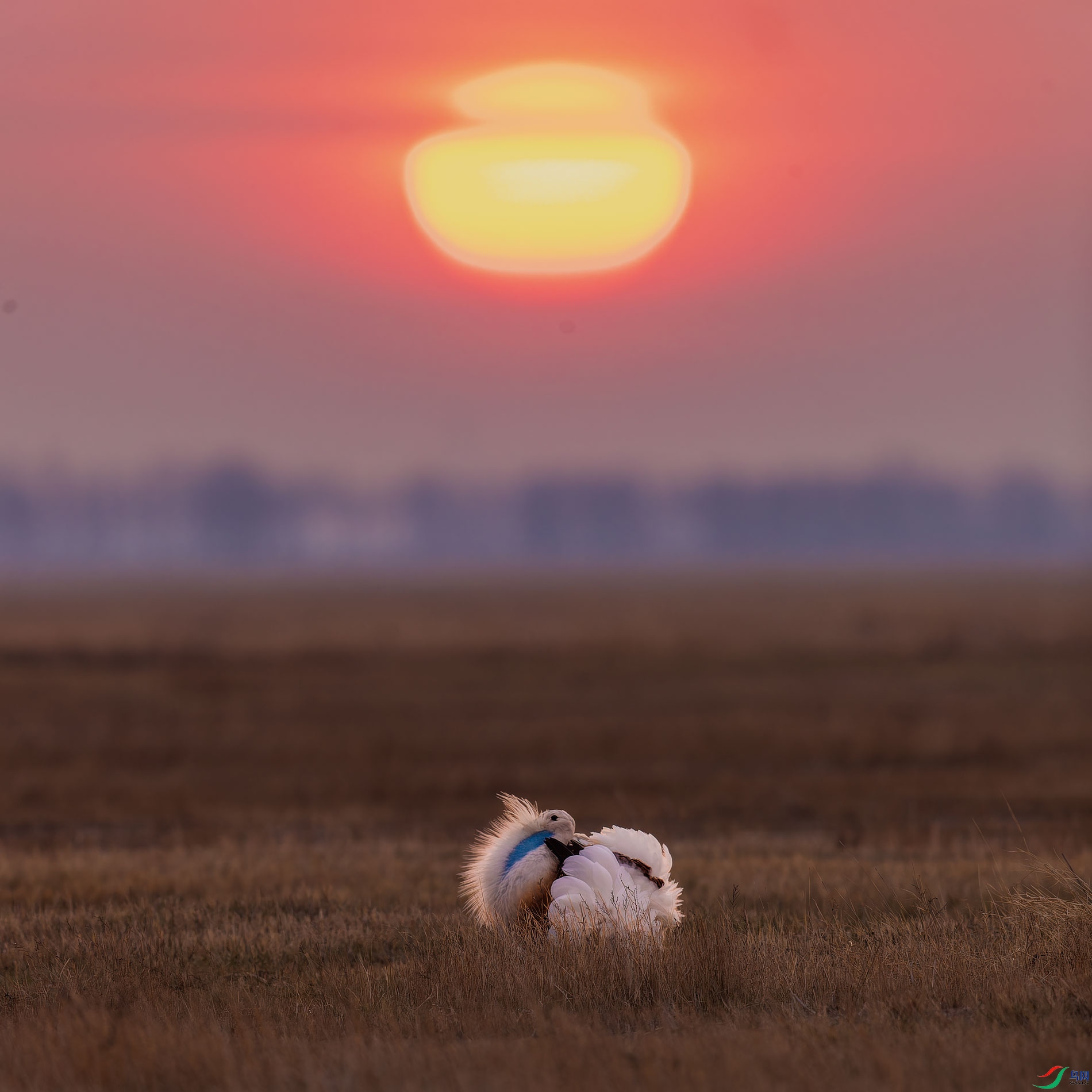 AR2I8069-CR2_DxO_DeepPRIMEXD-1.jpg