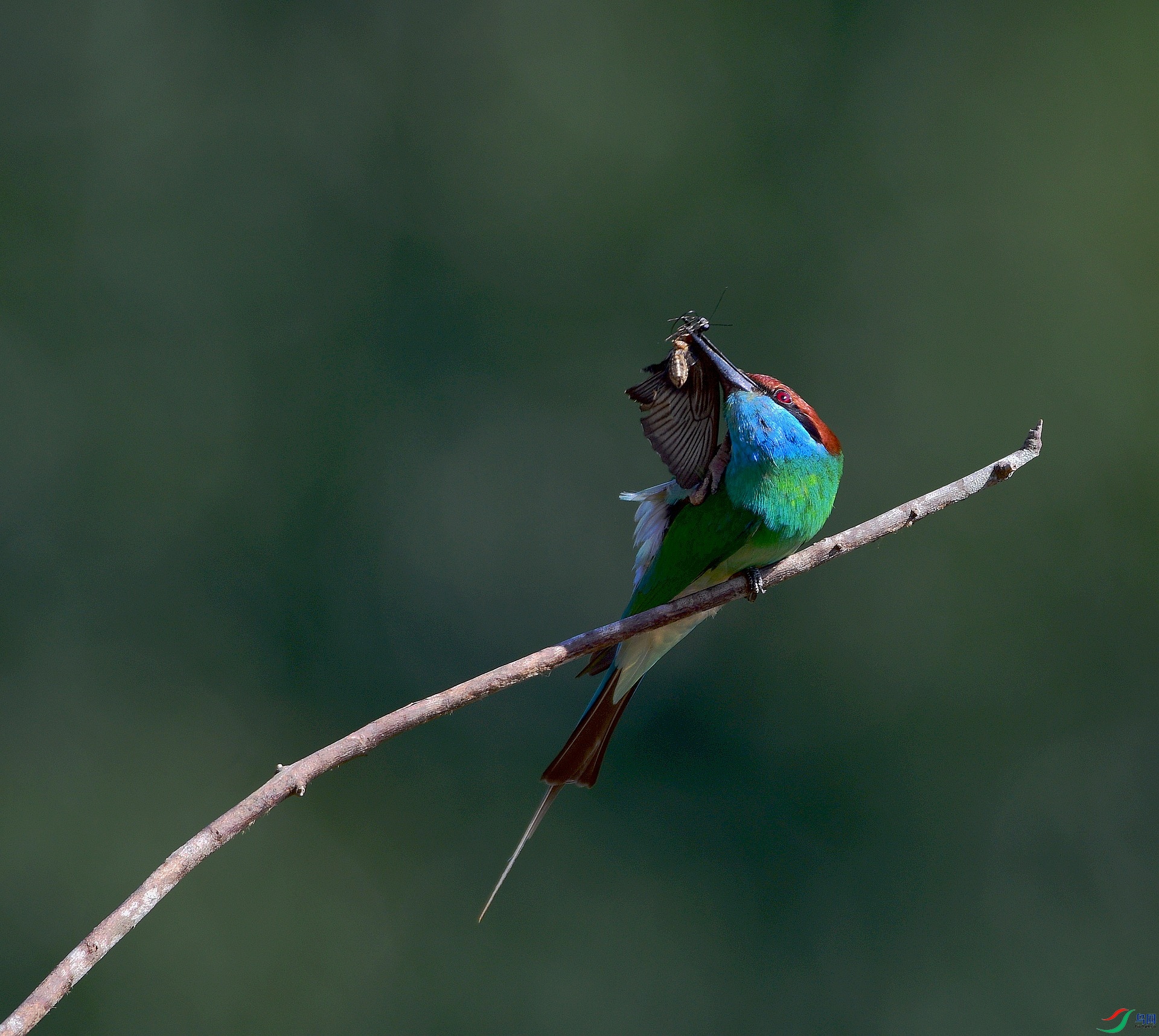 D8I_6863.jpg