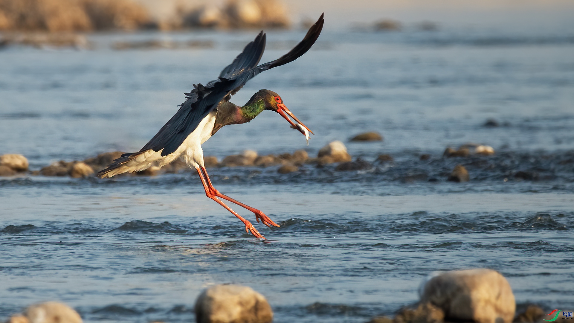 DSC_2130-20230205 ��.jpg