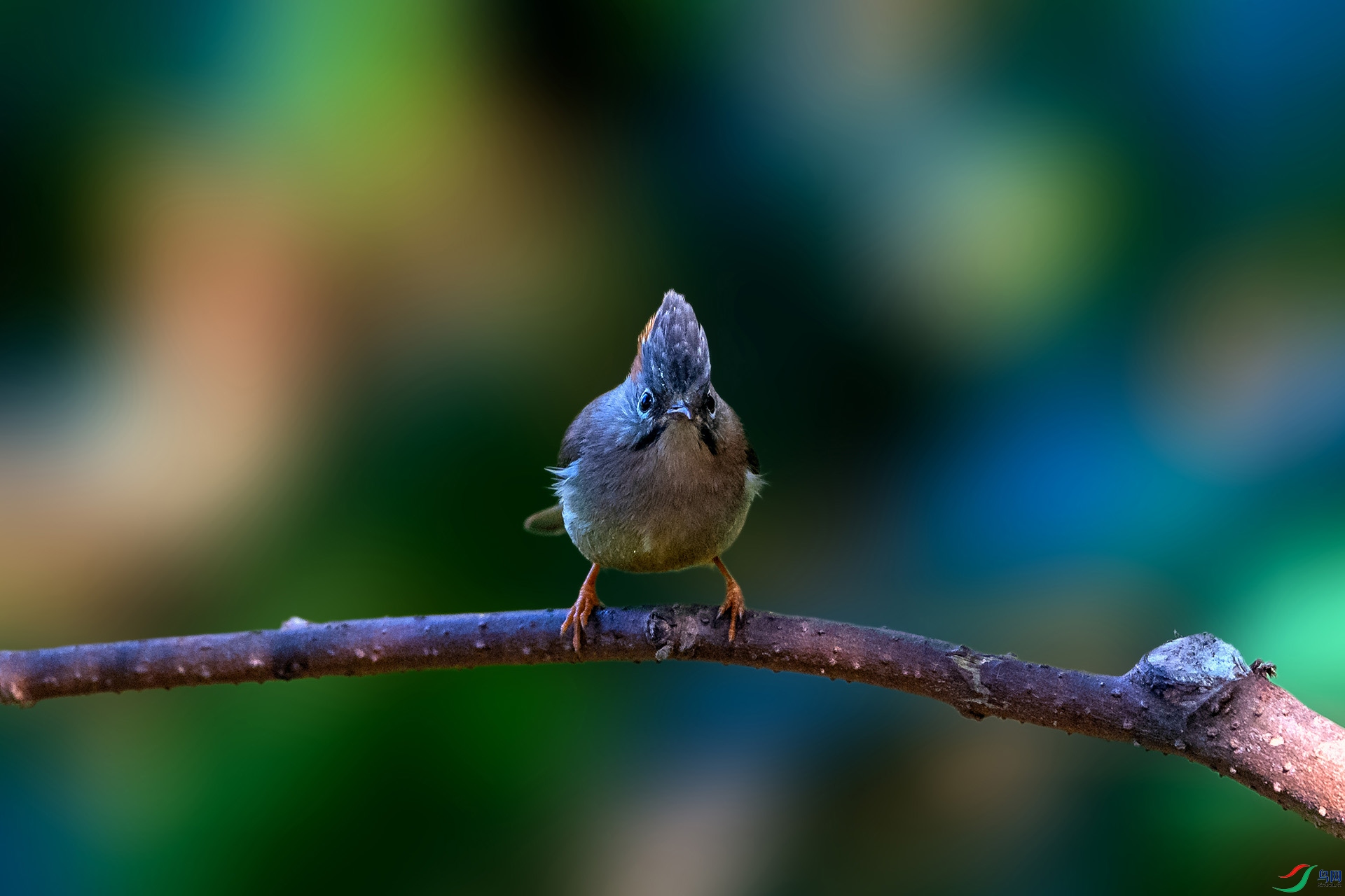 _AUU4097���η���(24.2.17).jpg