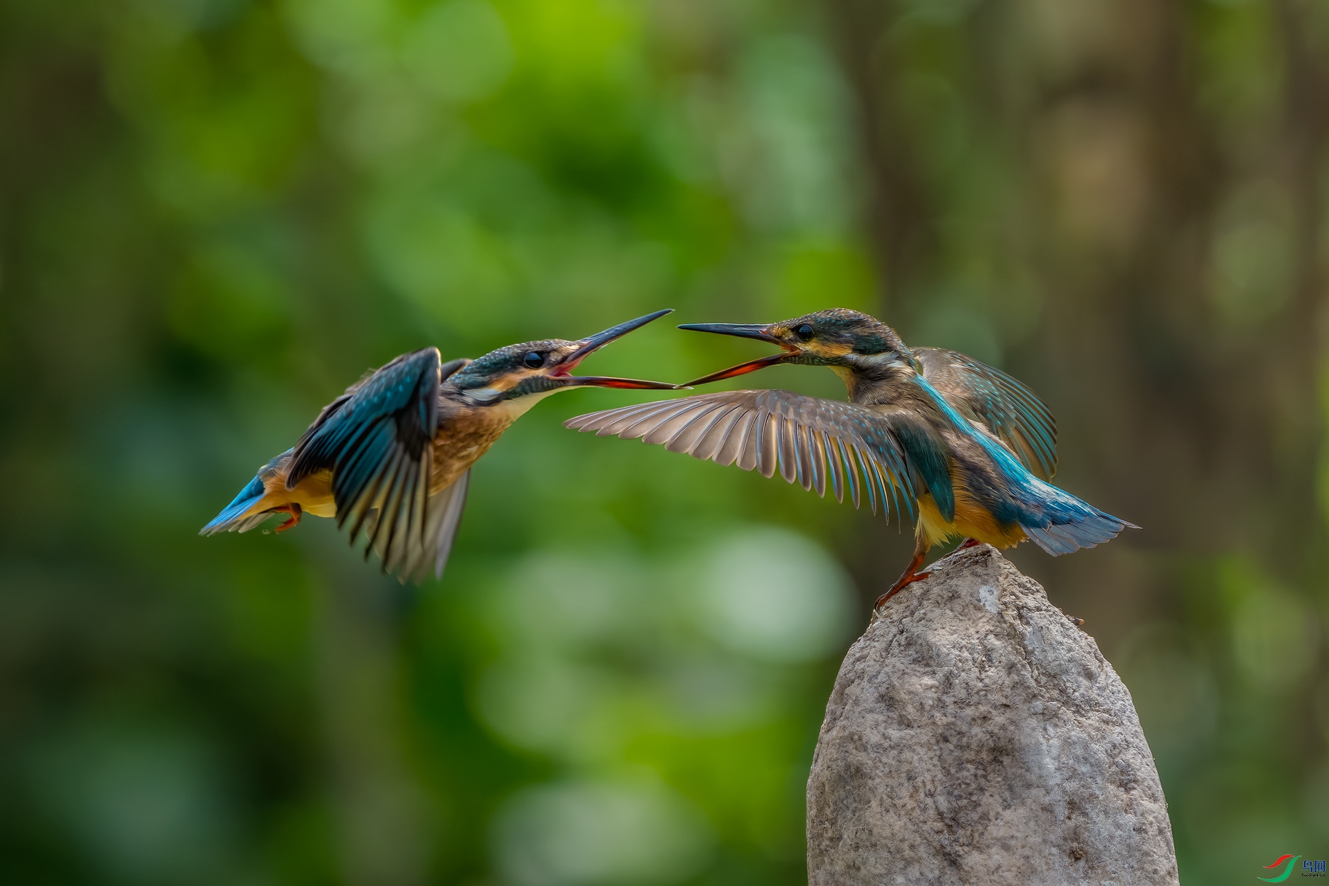 _DSC3763-����ǿ-NR ����_1.jpg