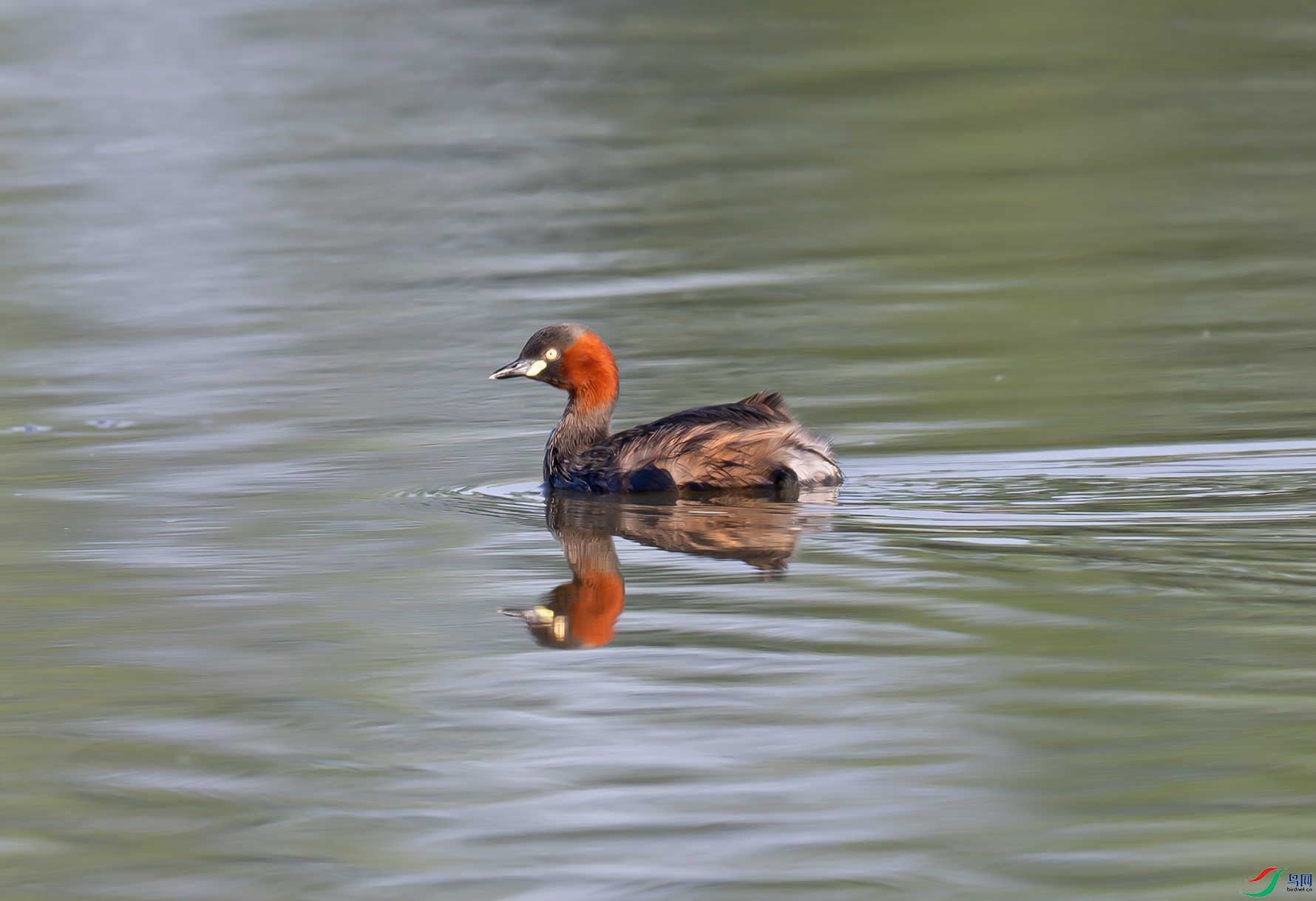 _DSC7122f.jpg