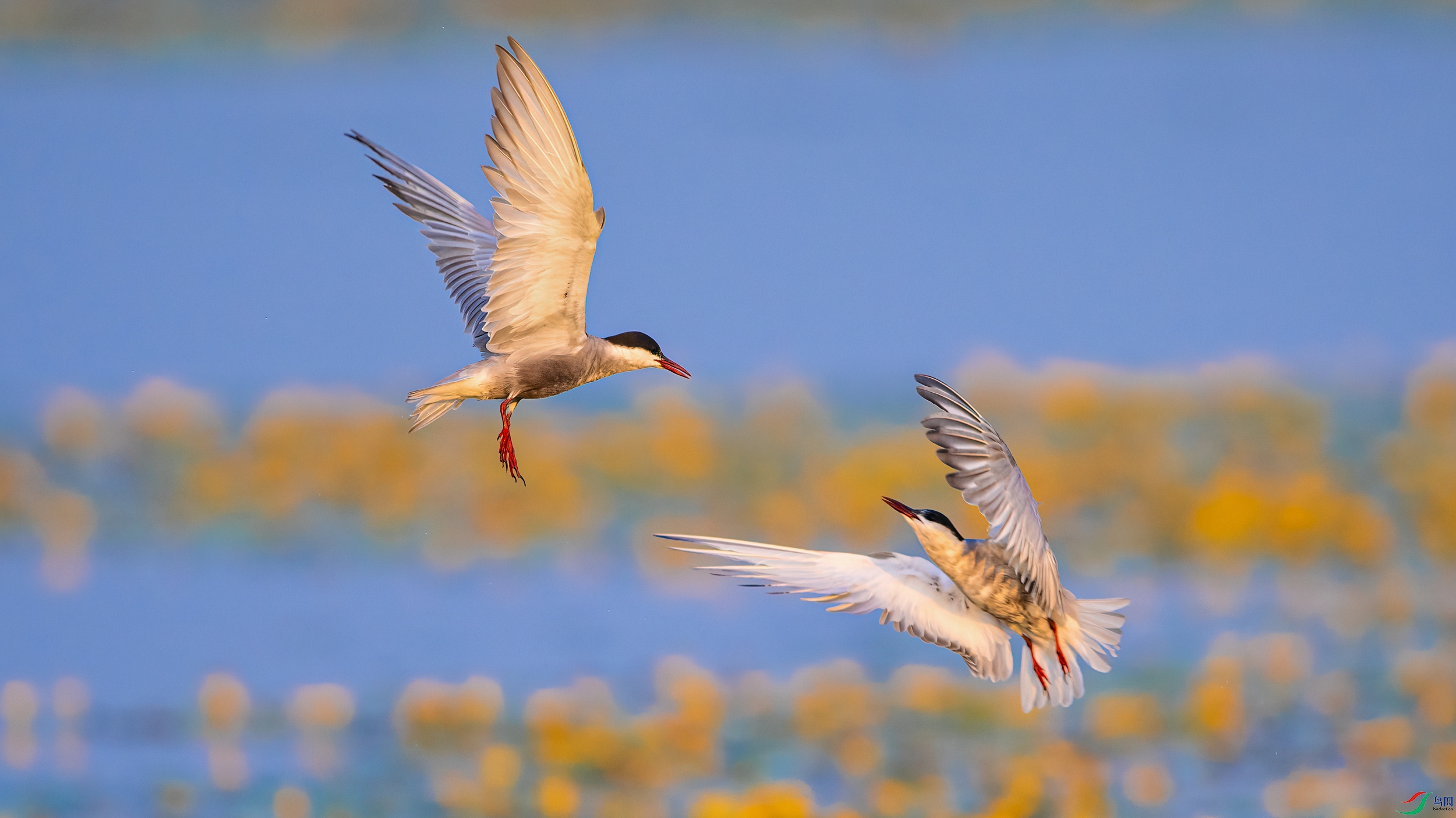 ��ƬDSC_6587 ����.jpg