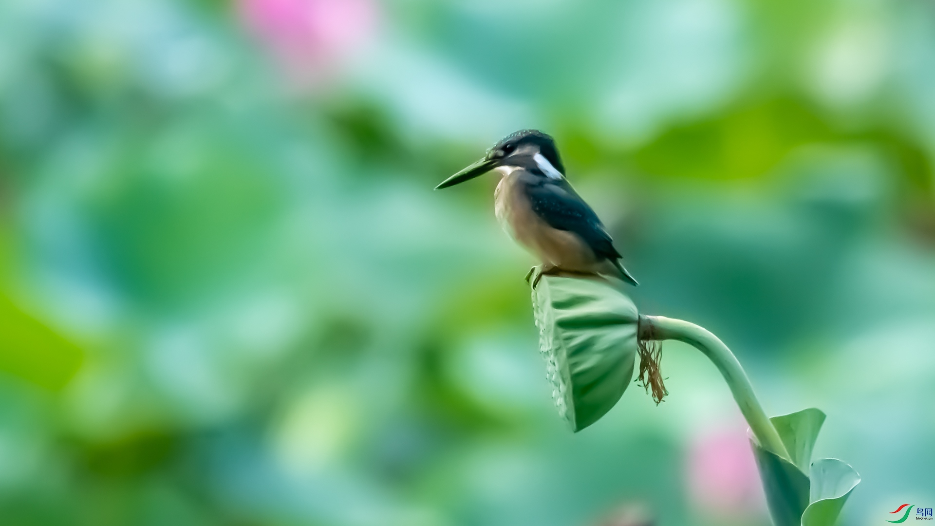 DSC_5604.jpg
