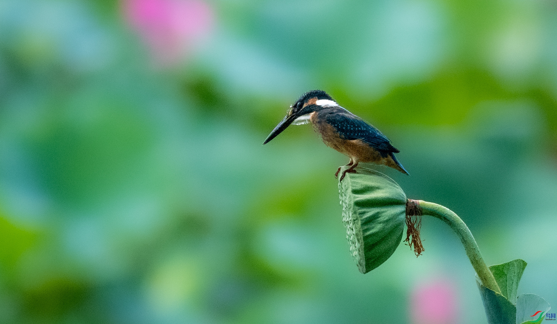 DSC_5629.jpg