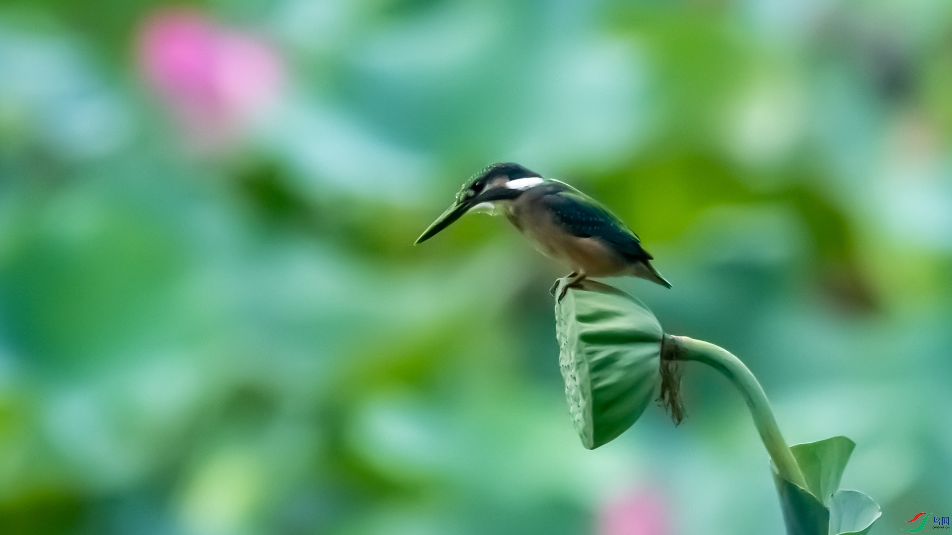 DSC_5631.jpg