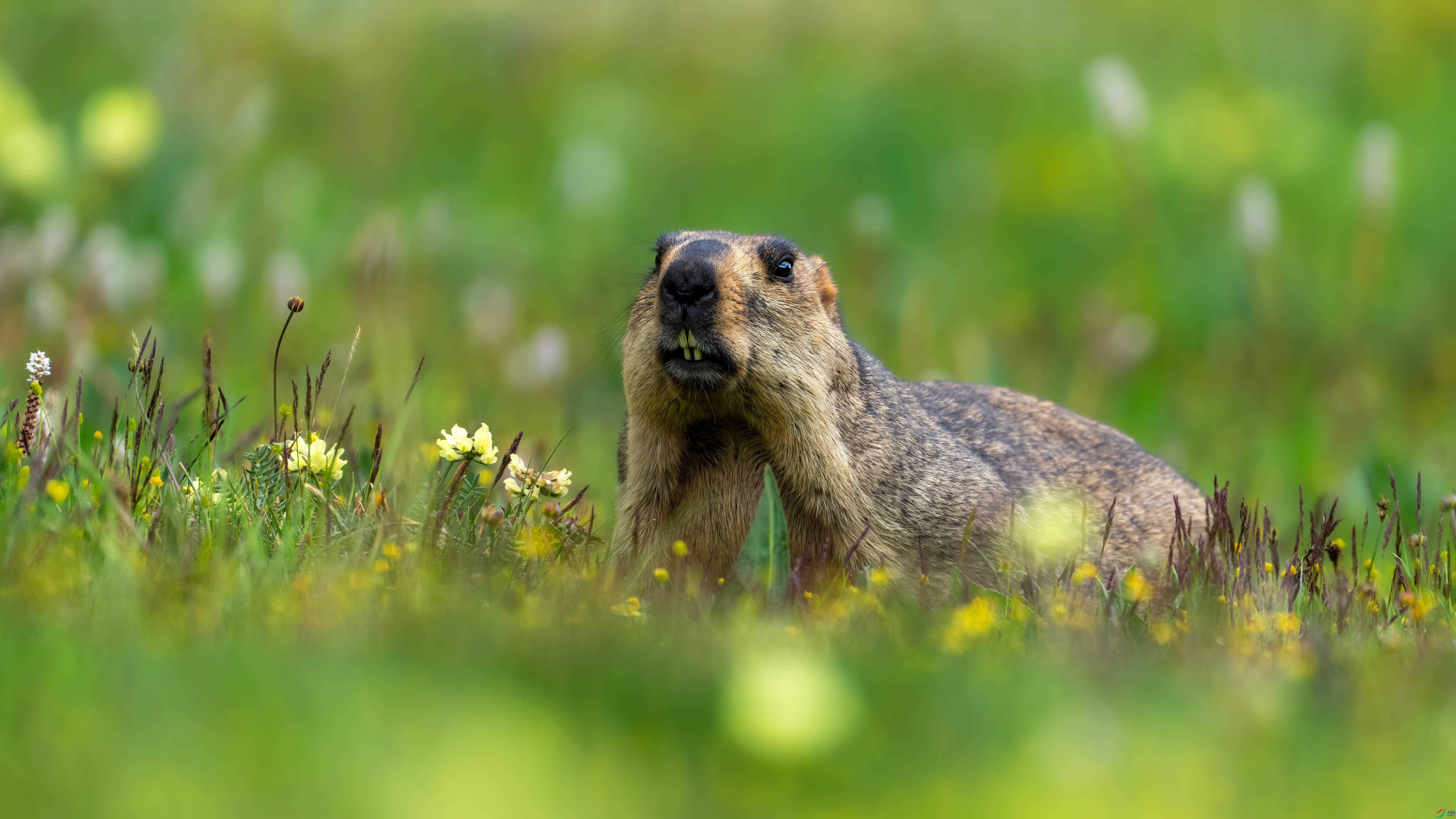 _DSC8605 ����.jpg