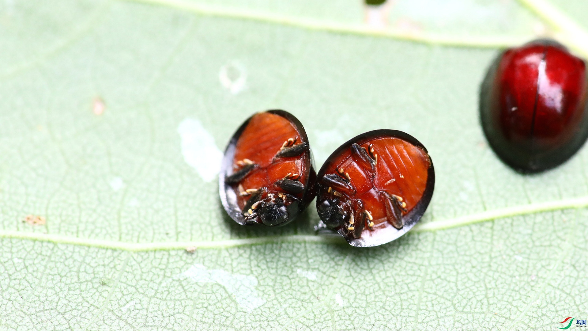 9O2A3225_����.jpg