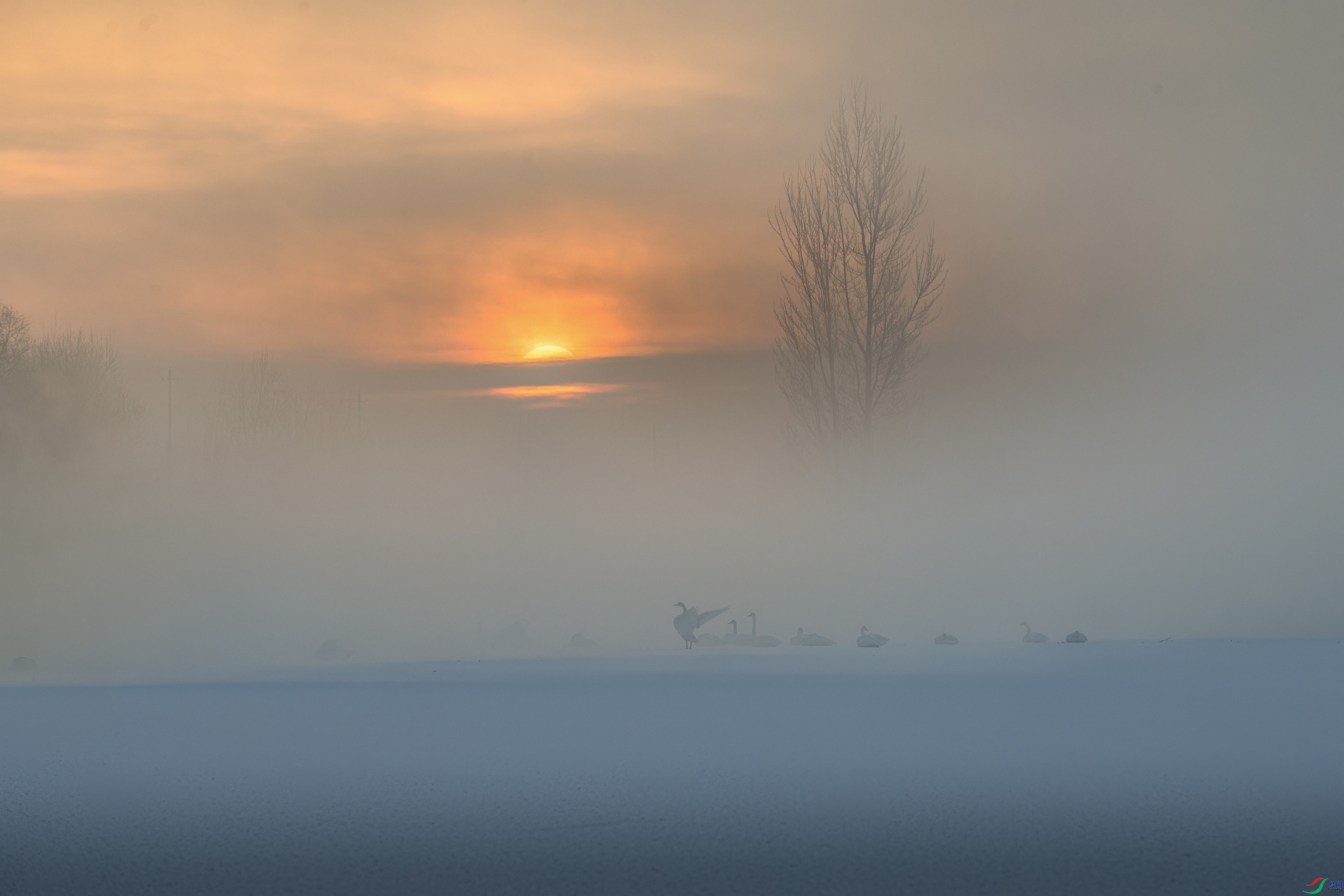 DSC_1532 ����F005.jpg