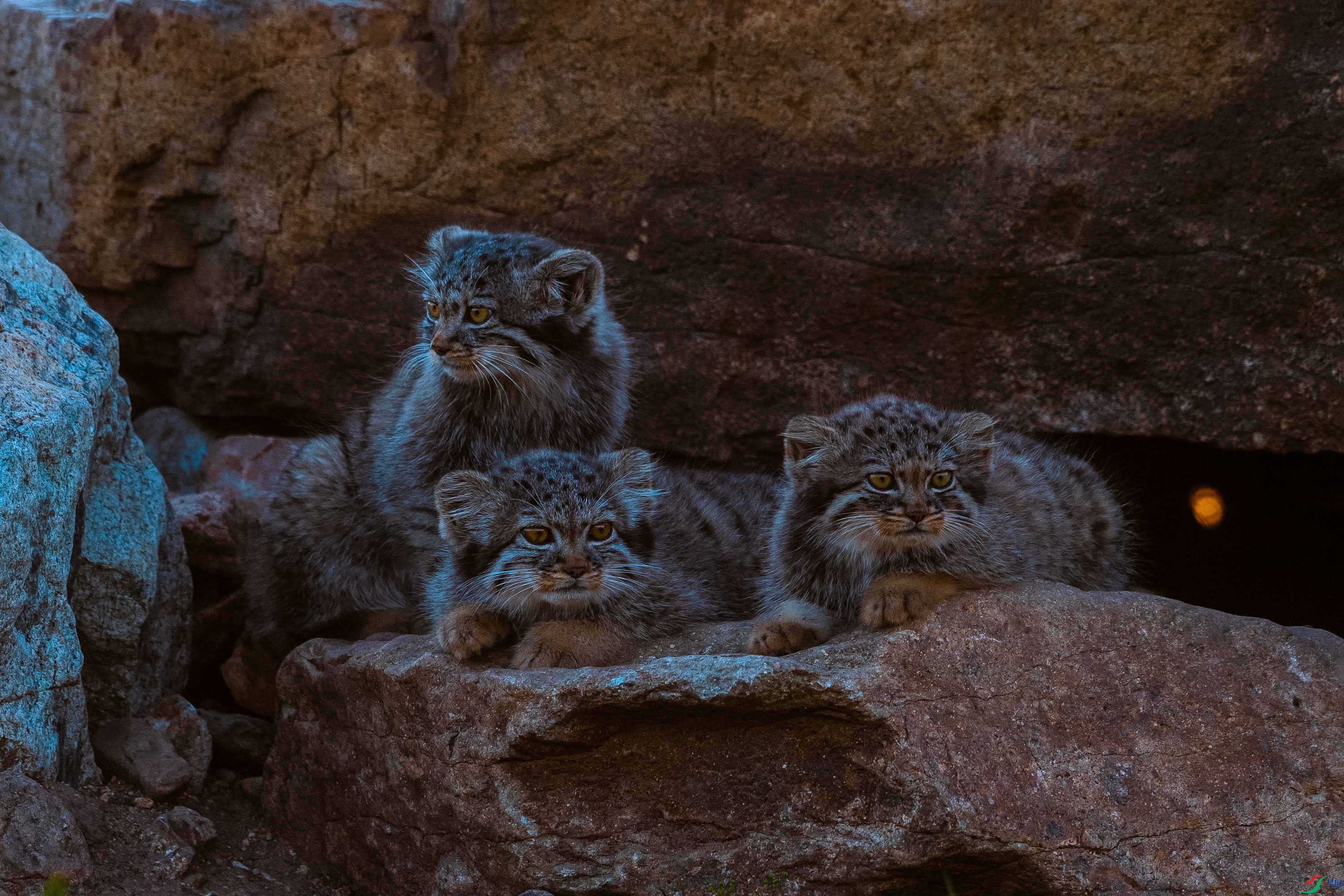 DSC_7330.jpg