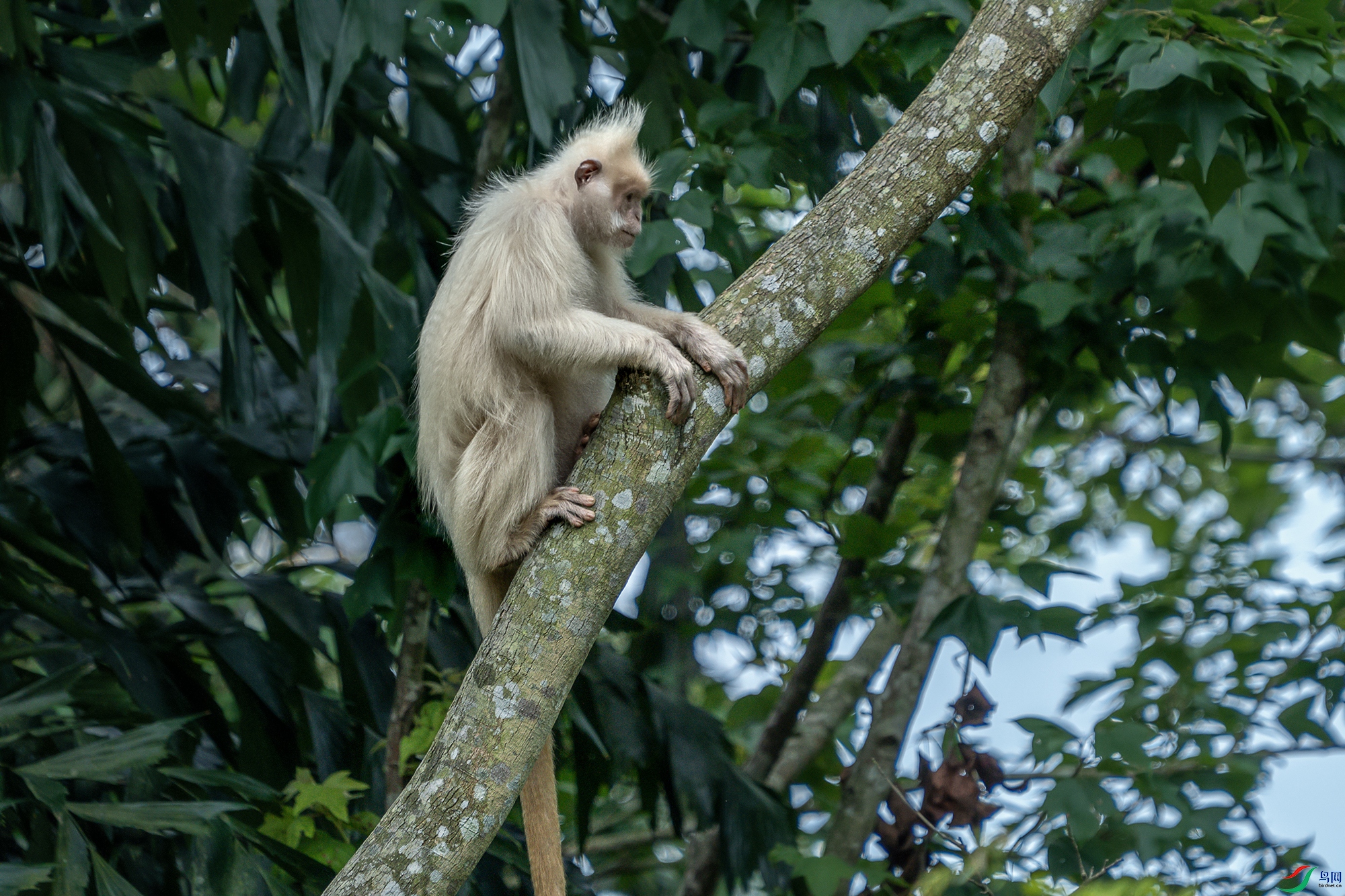 DSC00039 ���� 2.jpg