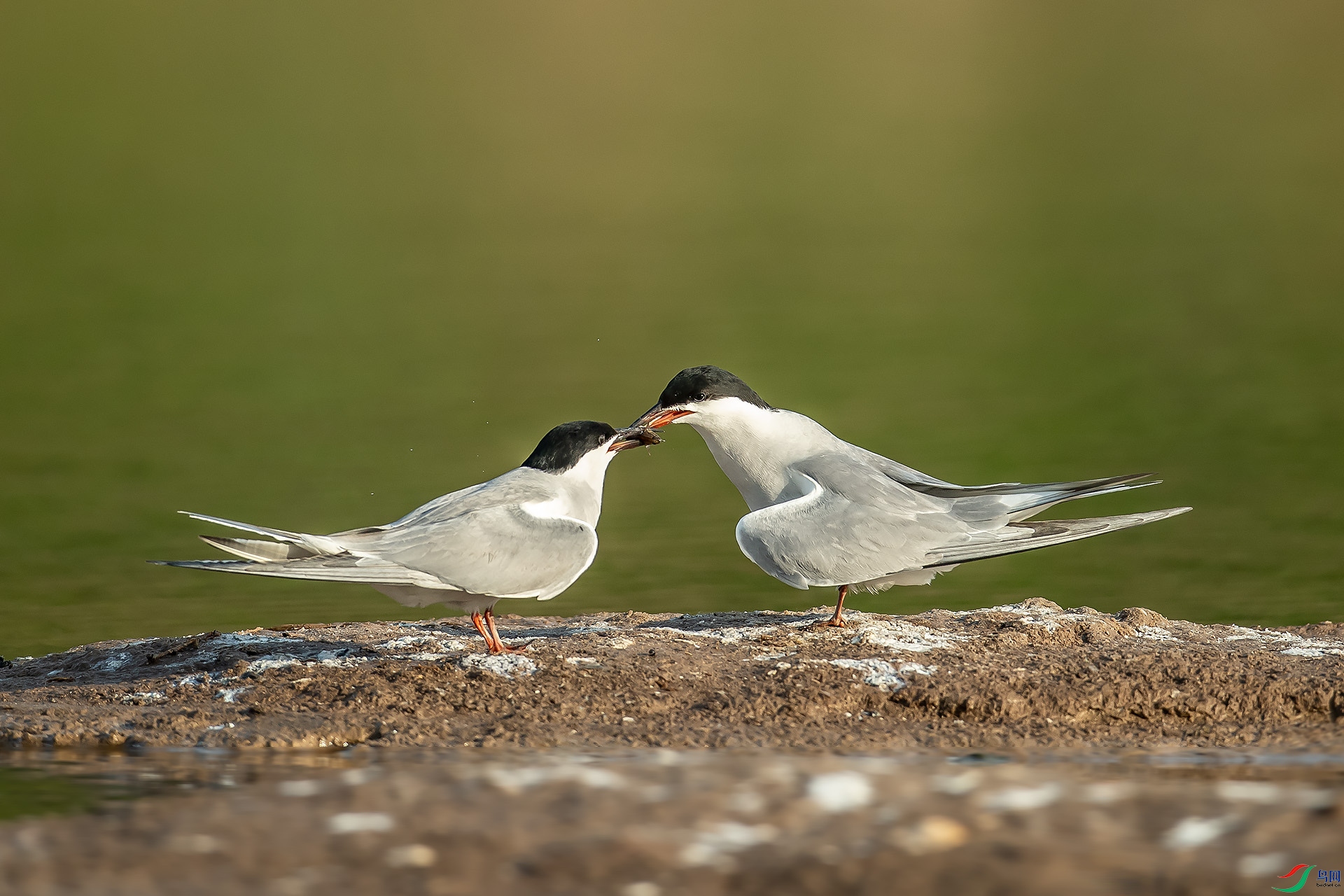 DSC_3403.jpg