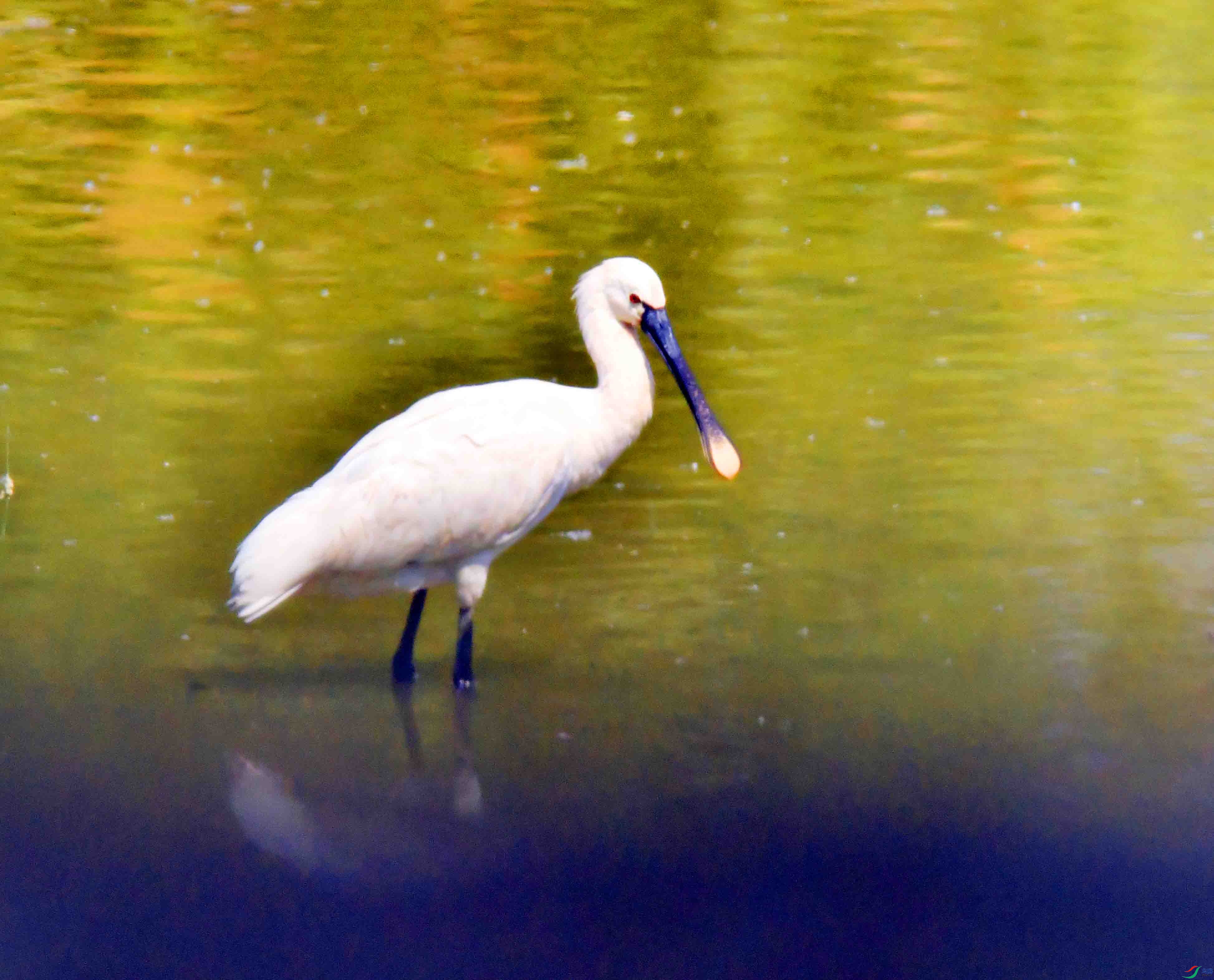 DSC_0119.JPG