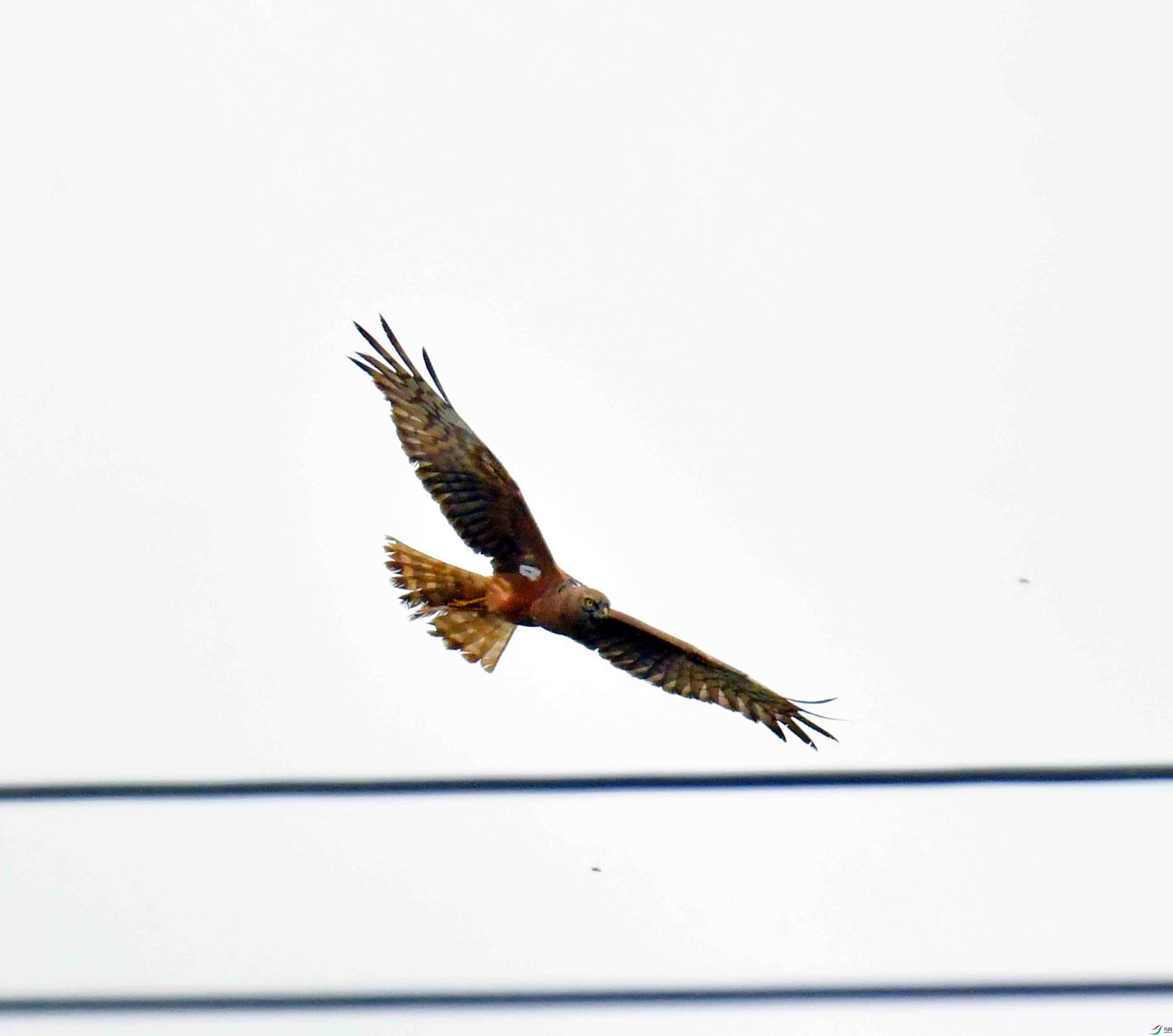 DSC_3733.JPG