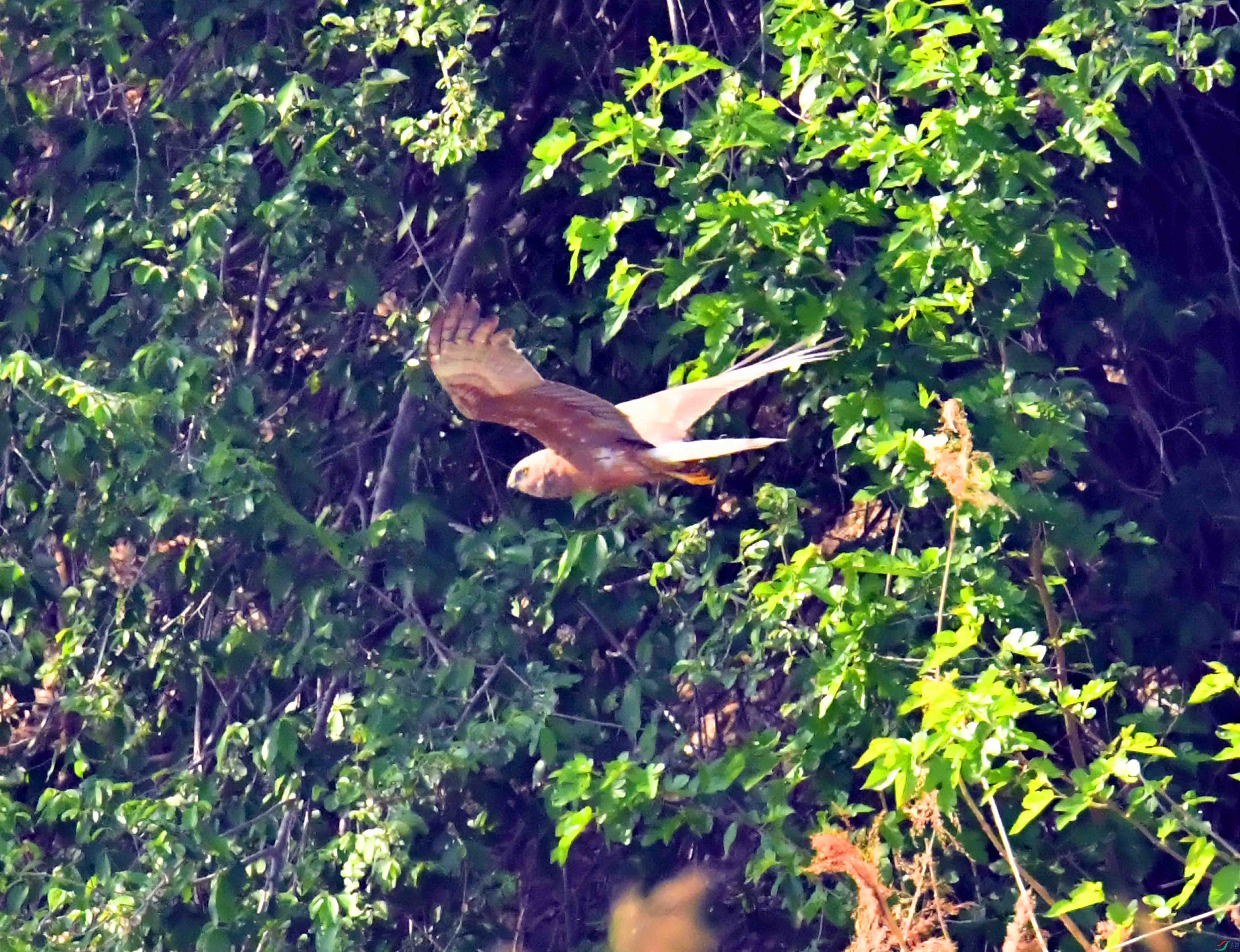 DSC_5867.JPG